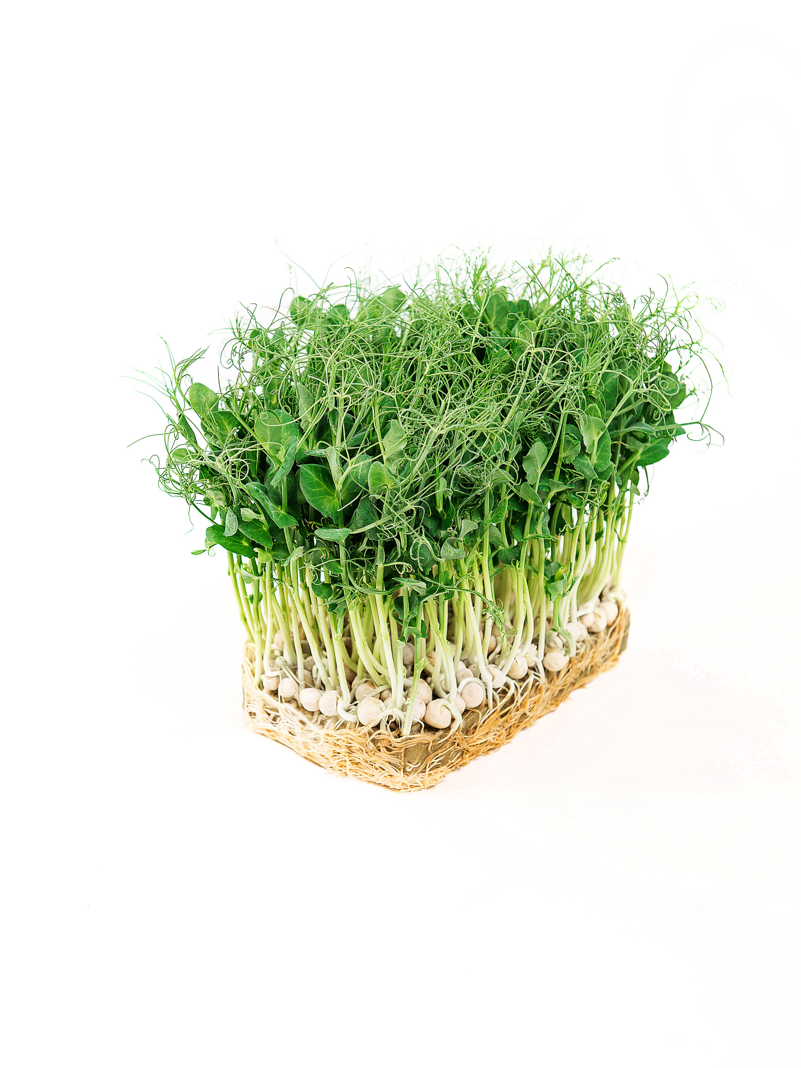 Съёмка для каталога. Выпускные альбомы. Предметная и контент съёмка. Фотостудия Klass