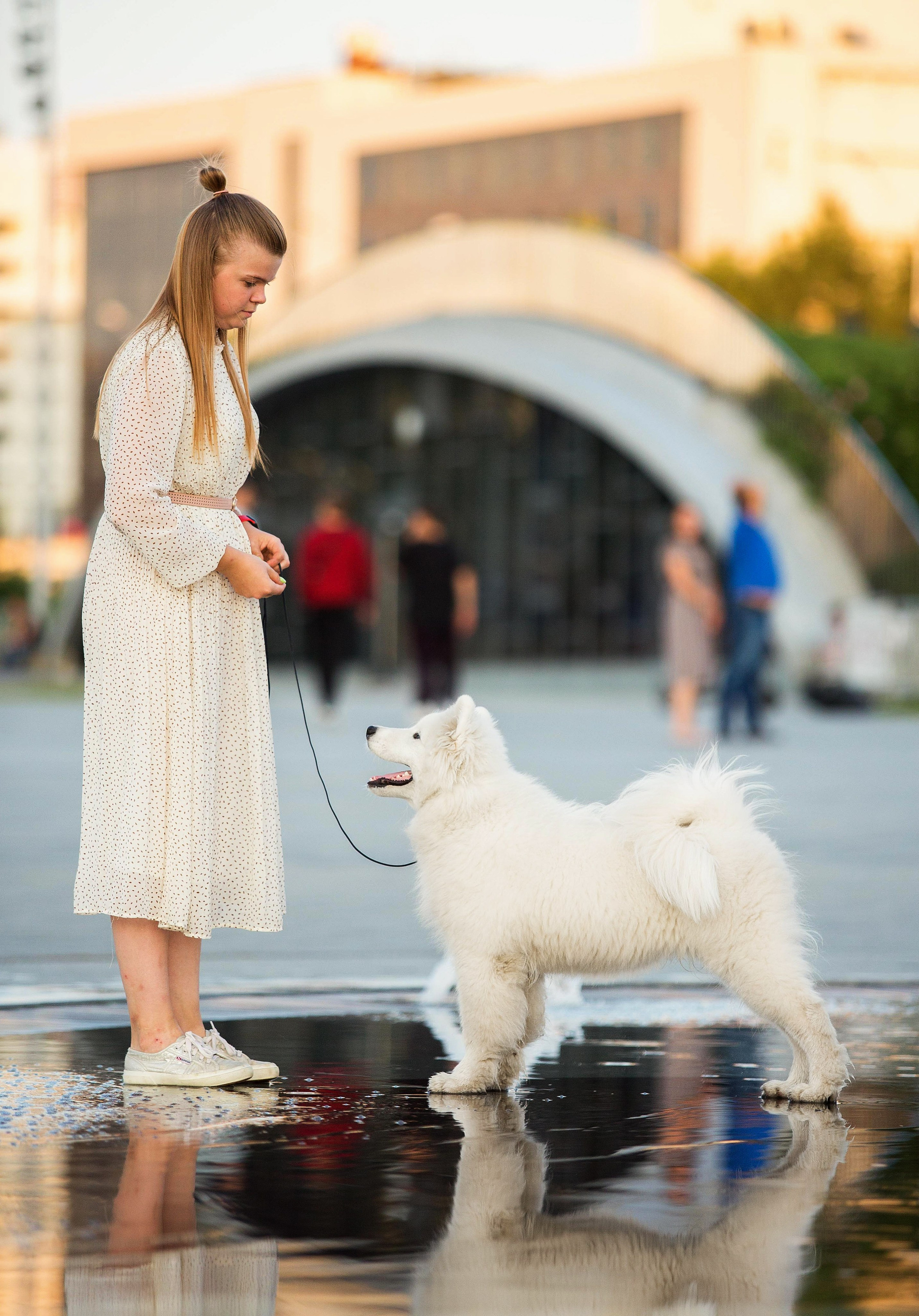 Анастасия, Евгений и самоед Ройс. Https://moshkovaphoto.ru/