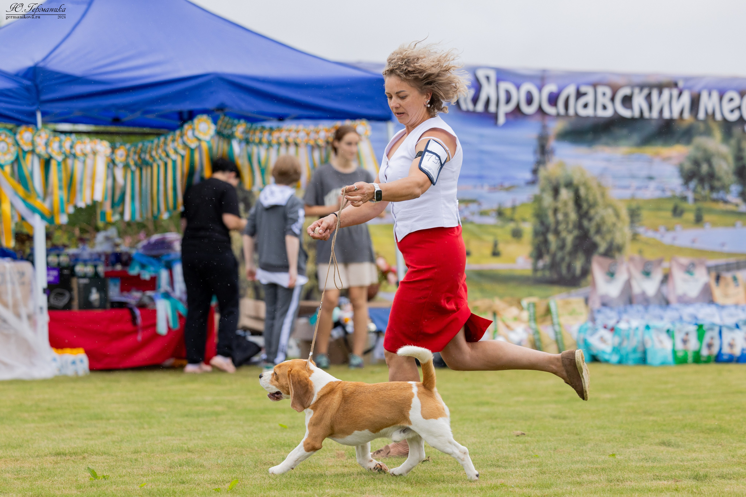 Ярославль 21.07.24 и Балашиха 13.07.24. Фотограф-анималист Юлия Германика