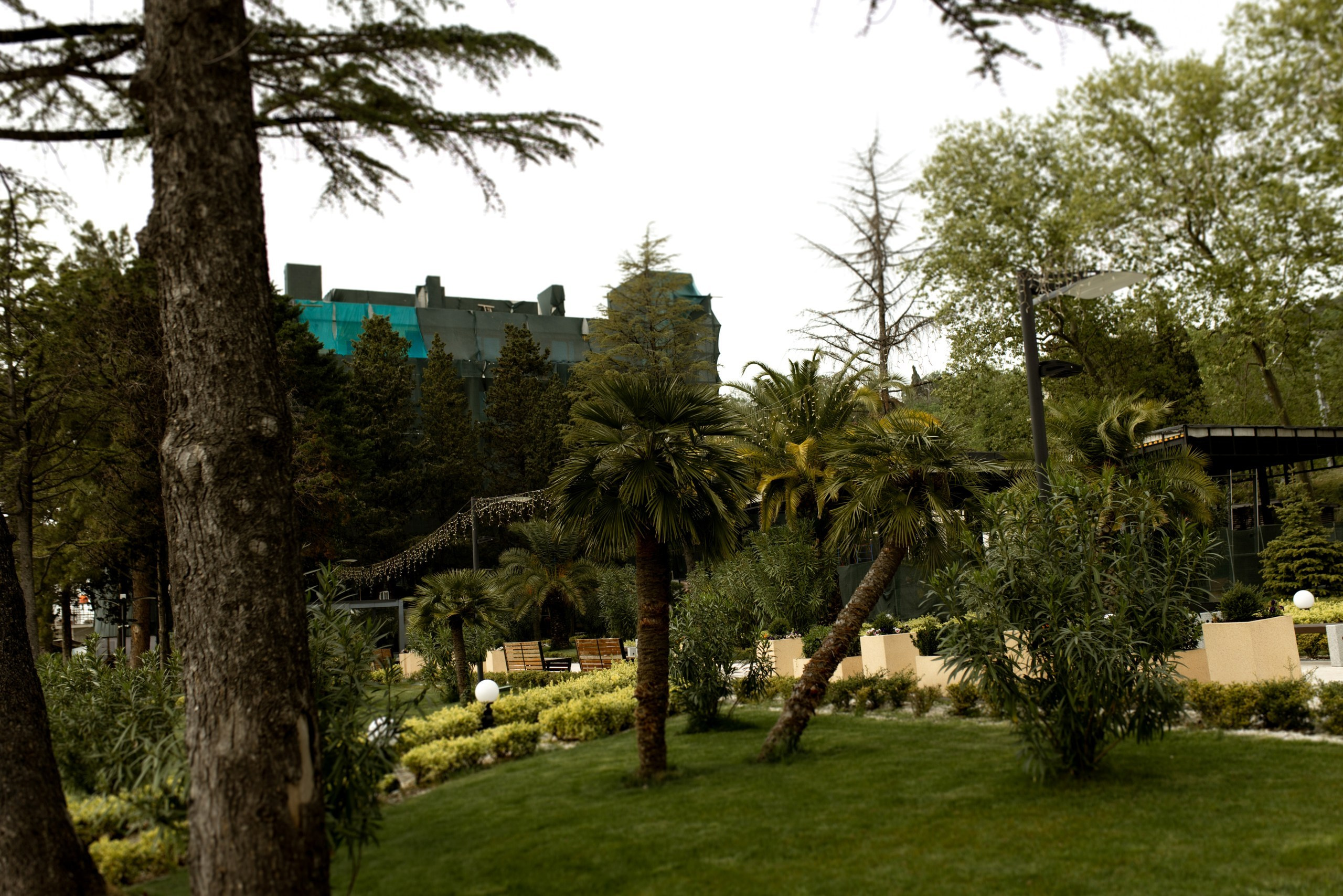 Он и я навсегда🖤. Свадебный фотограф Краснодар — Сочи — Алексей Титов