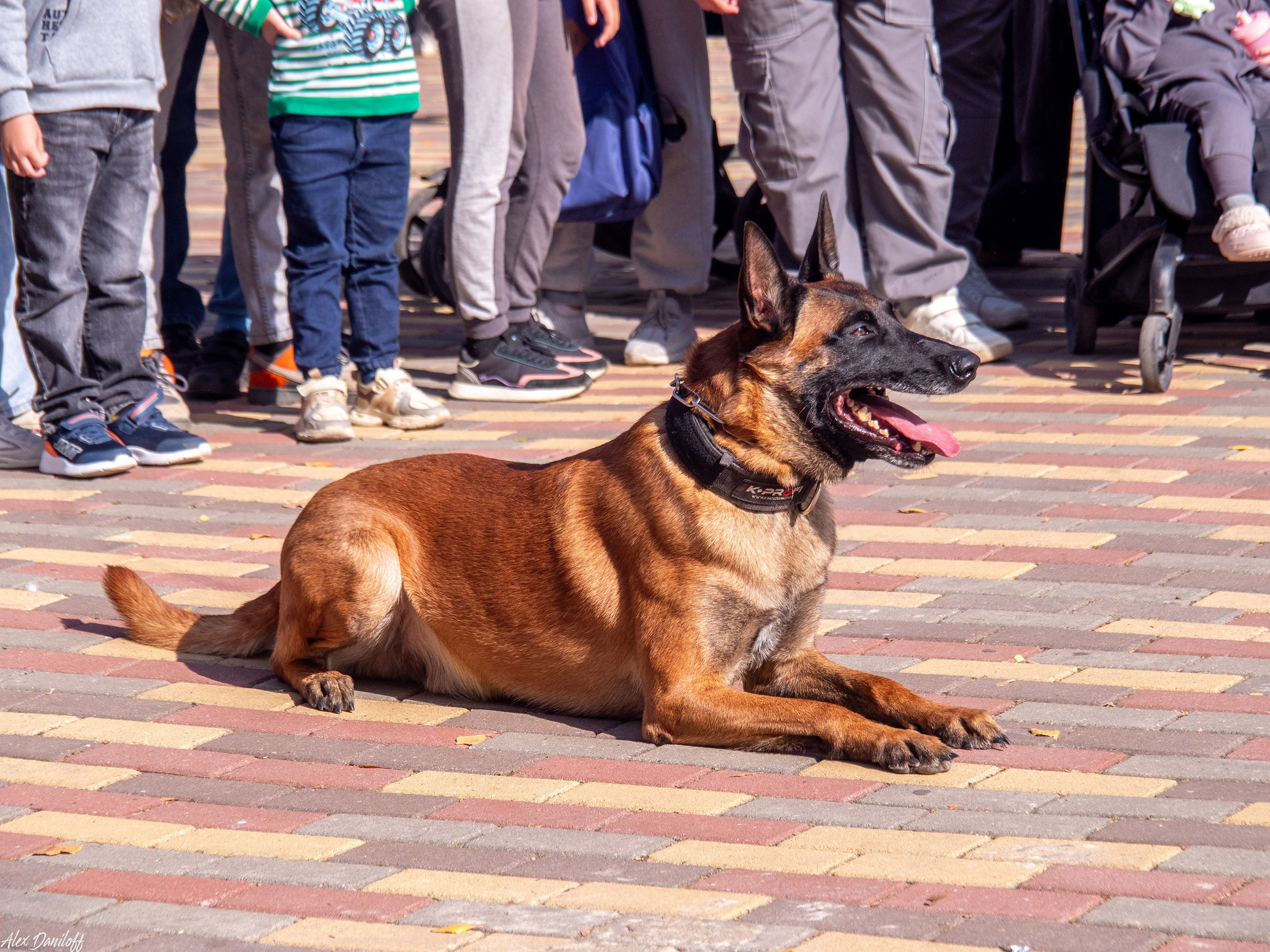 Обнимака 2025. Муром-Инфо. Новости культуры, образования, спорта в городе Муром