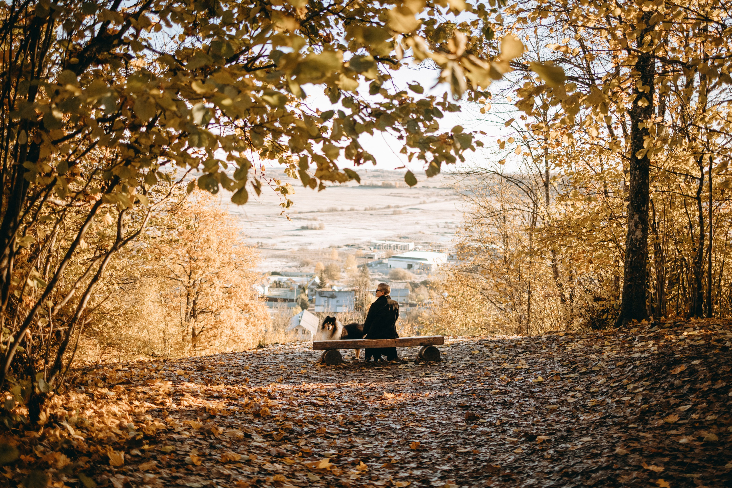 Ия и Барт. Фотограф — Анималист | Санкт-Петербург
