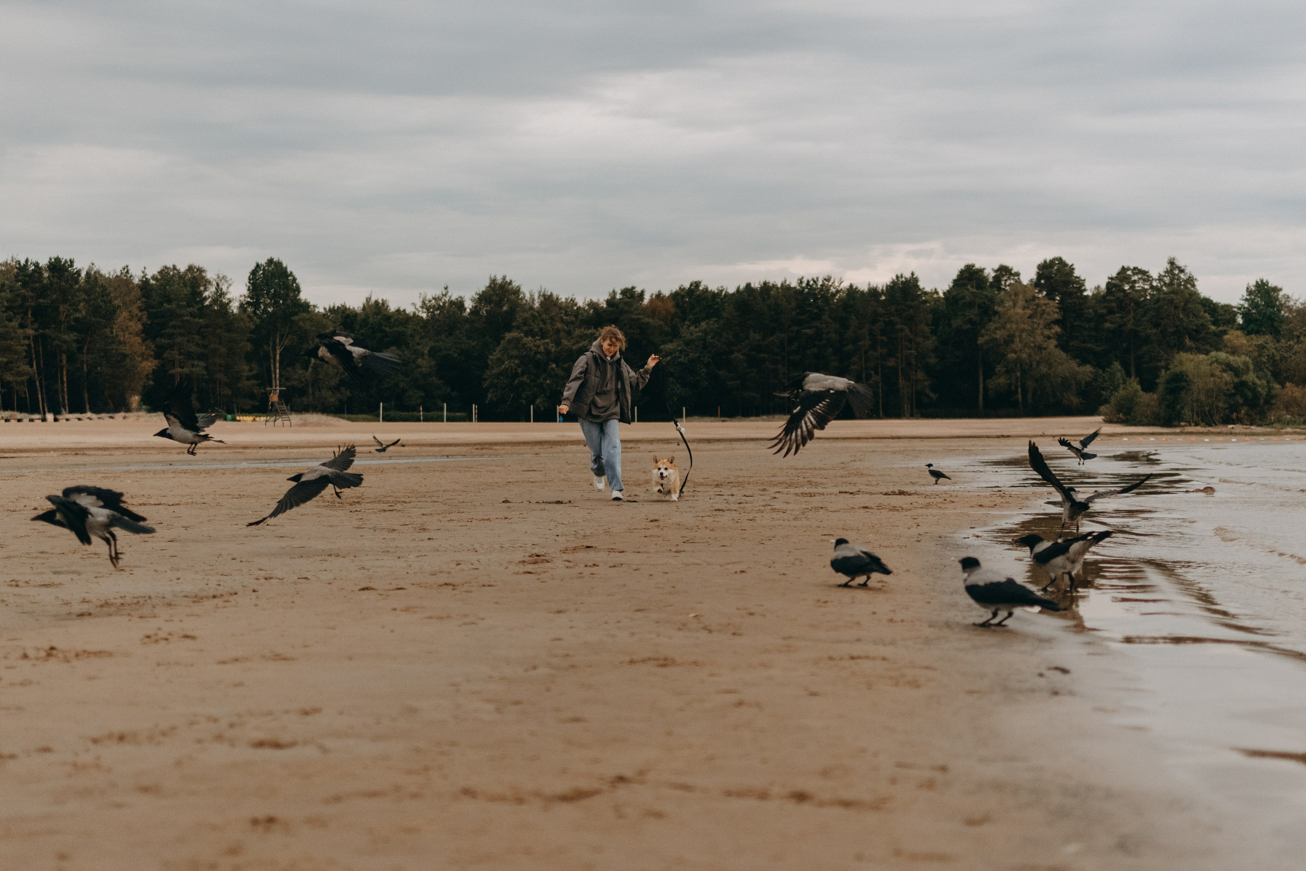 Лиза и Бакс. Фотограф — Анималист | Санкт-Петербург