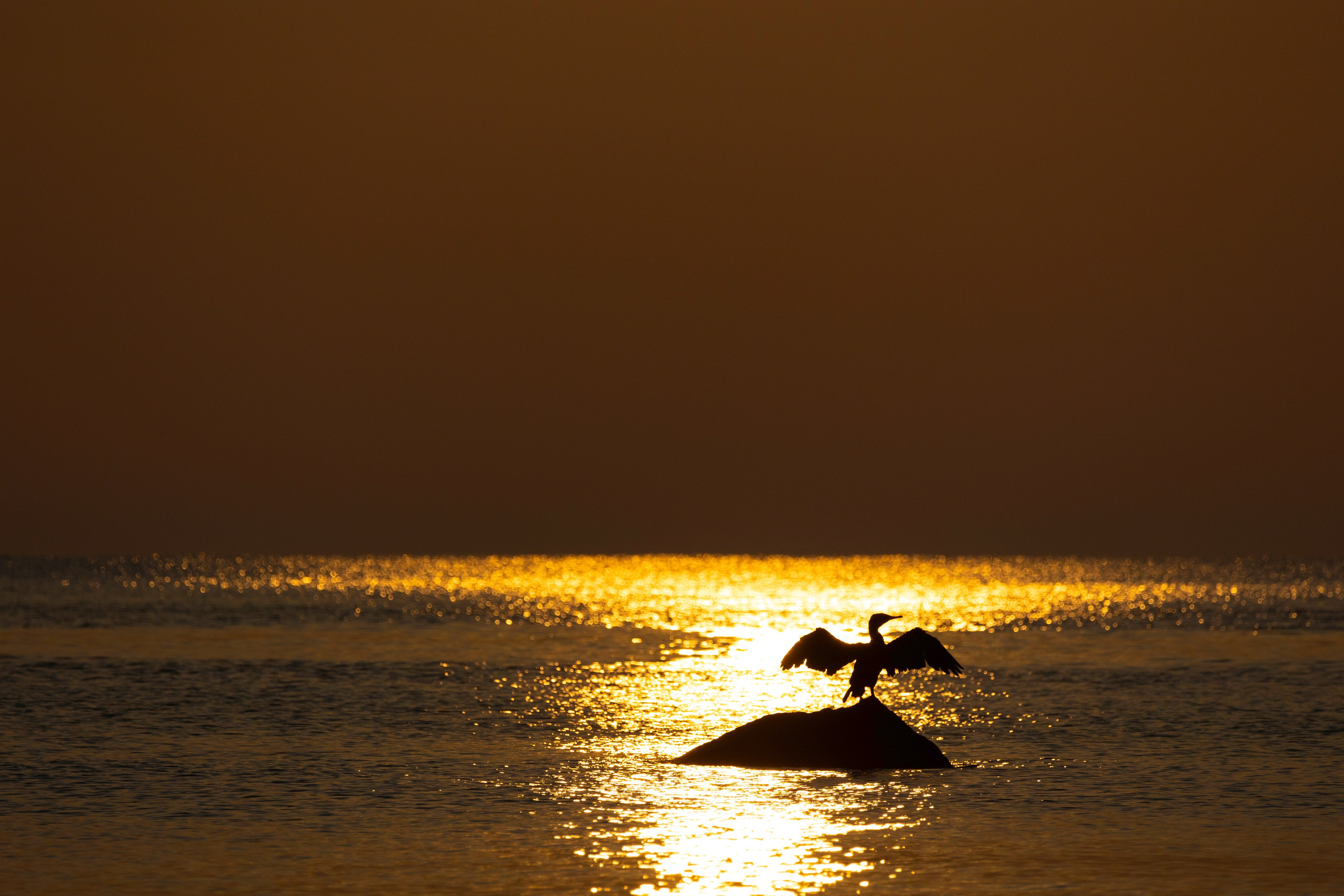 Балтийское море