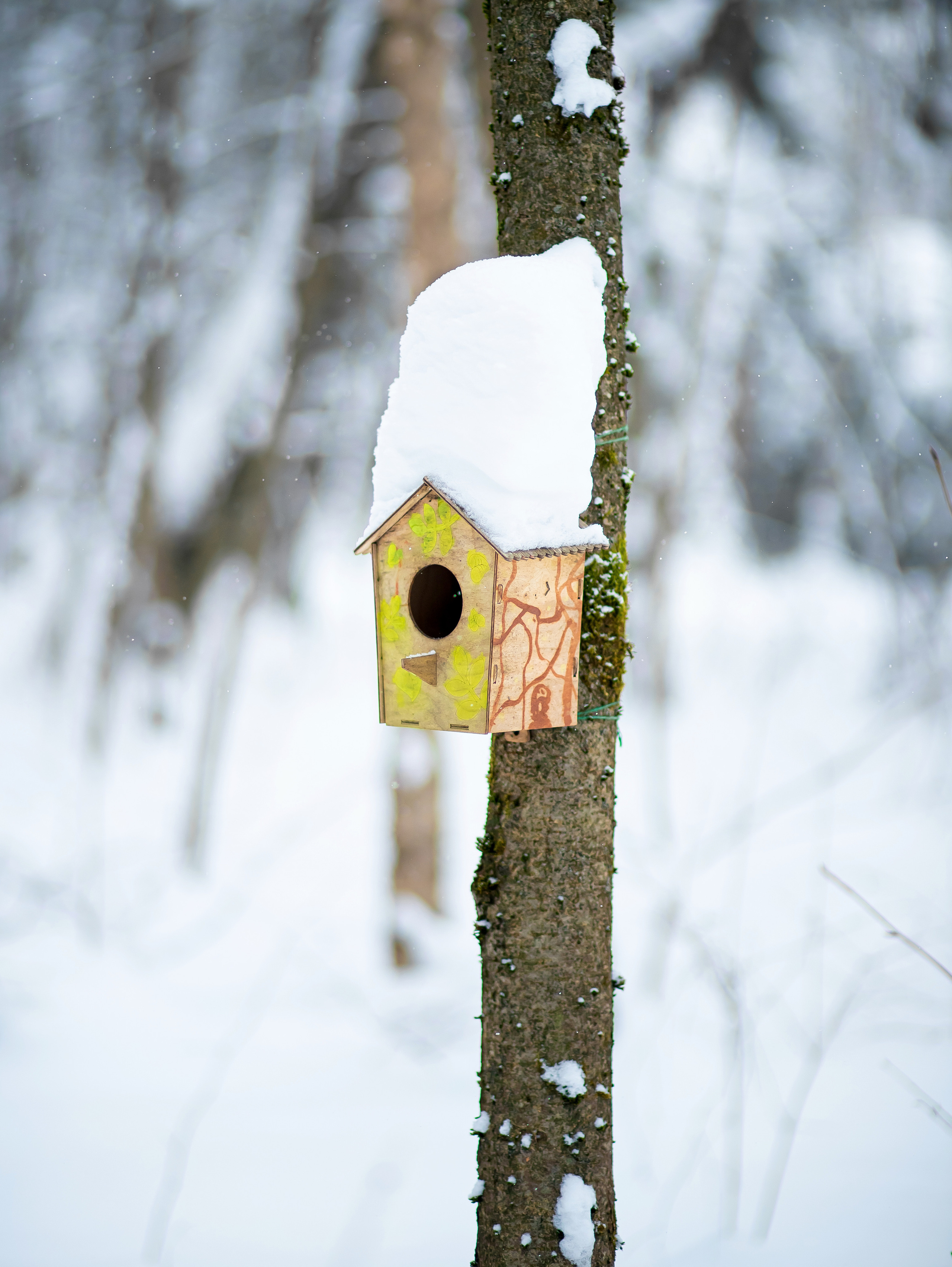 Детские съёмки. Семейный и детский фотограф в Москве Тихонова Ксения