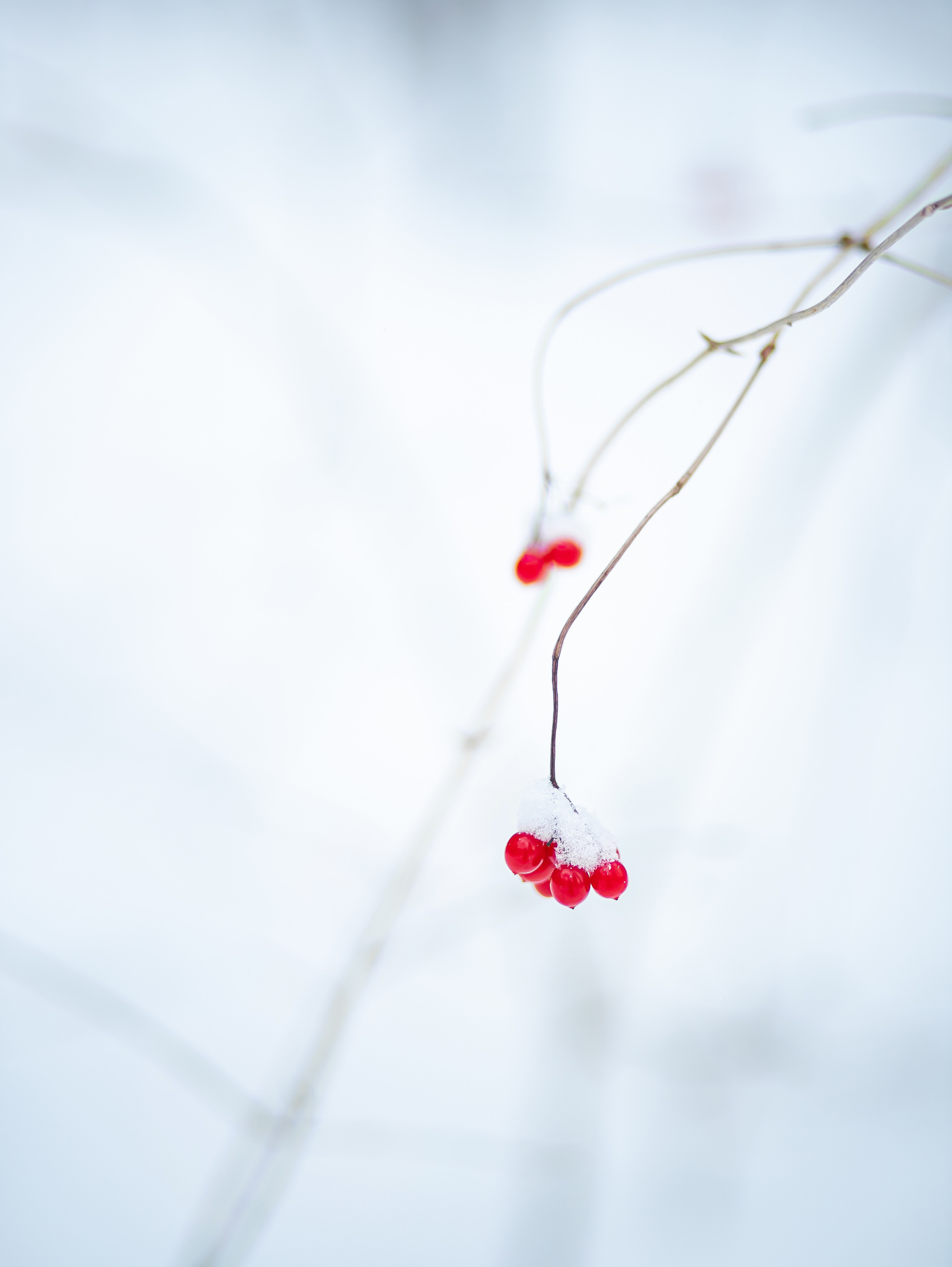 Детские съёмки. Семейный и детский фотограф в Москве Тихонова Ксения