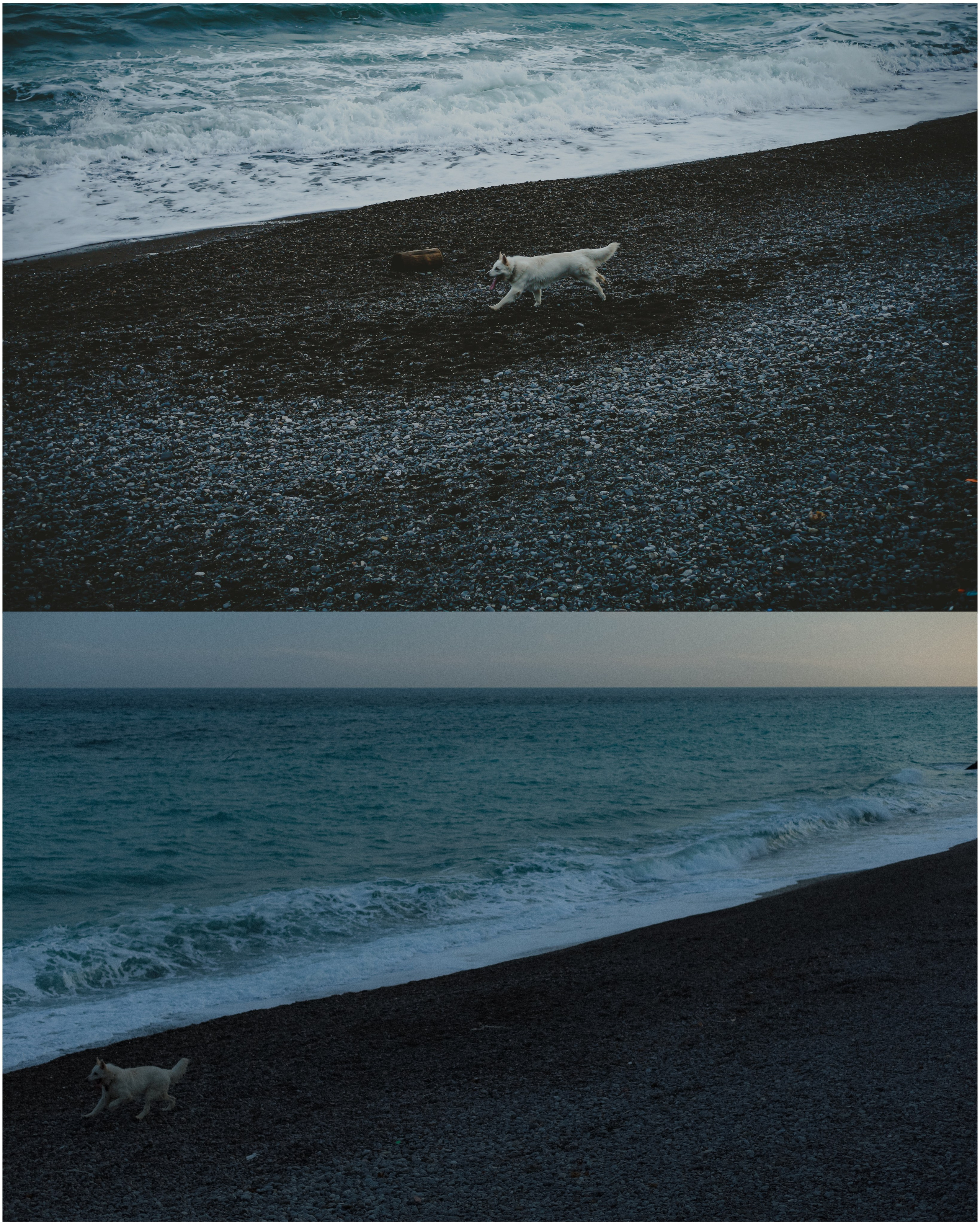 Природа &. Фотохудожник в СПб