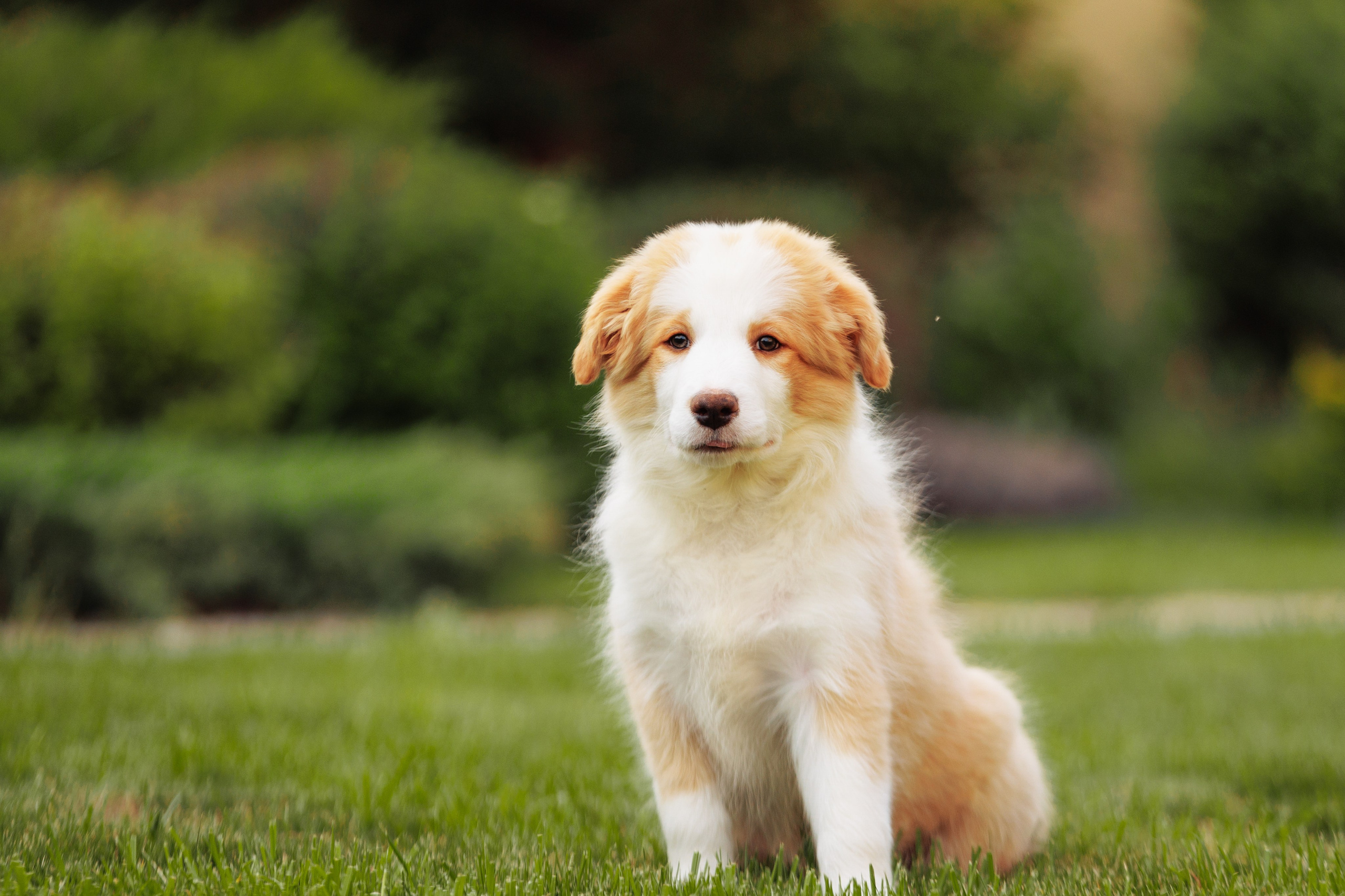 СОлнечные. О нас