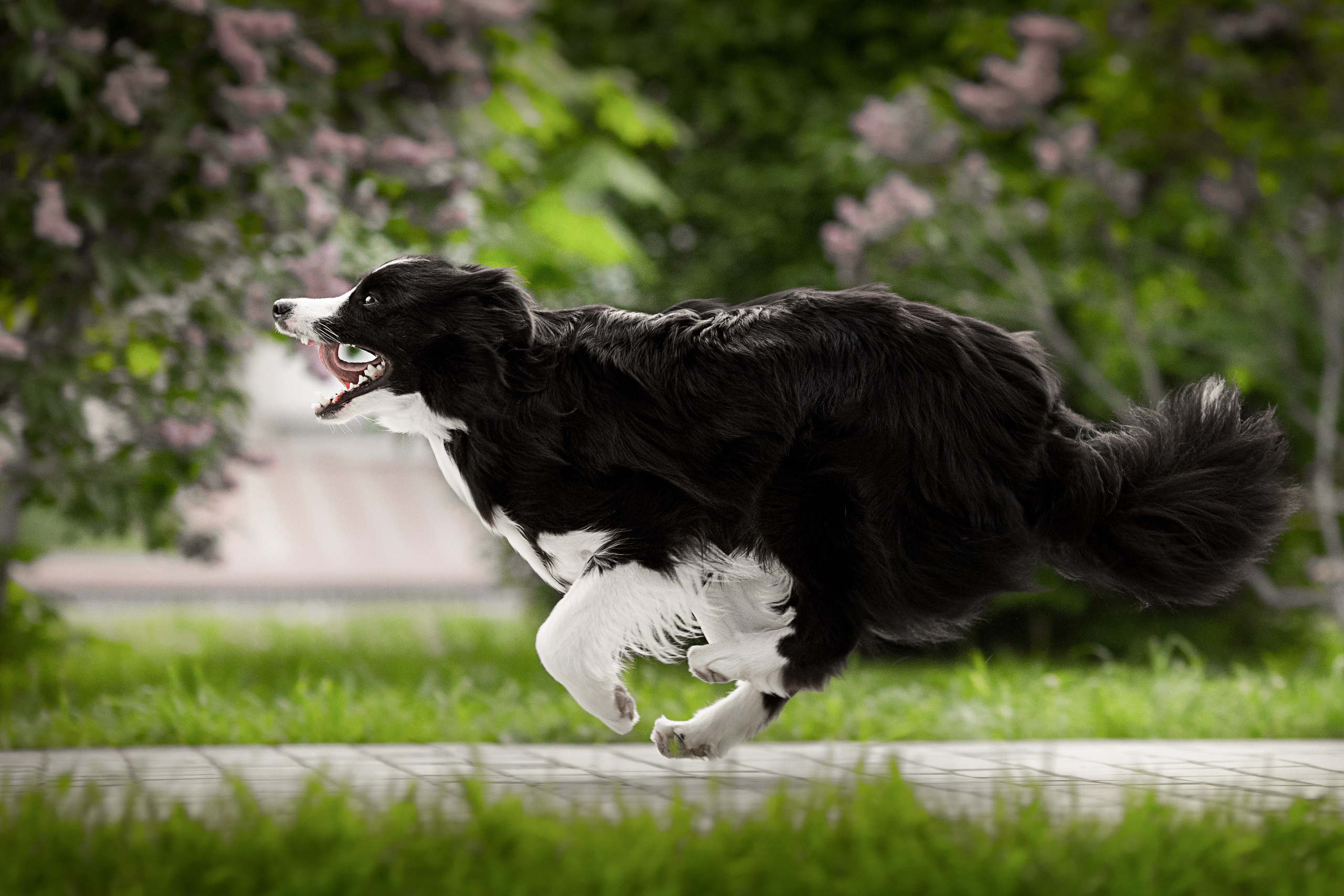 Роскошь в ростошах. О нас