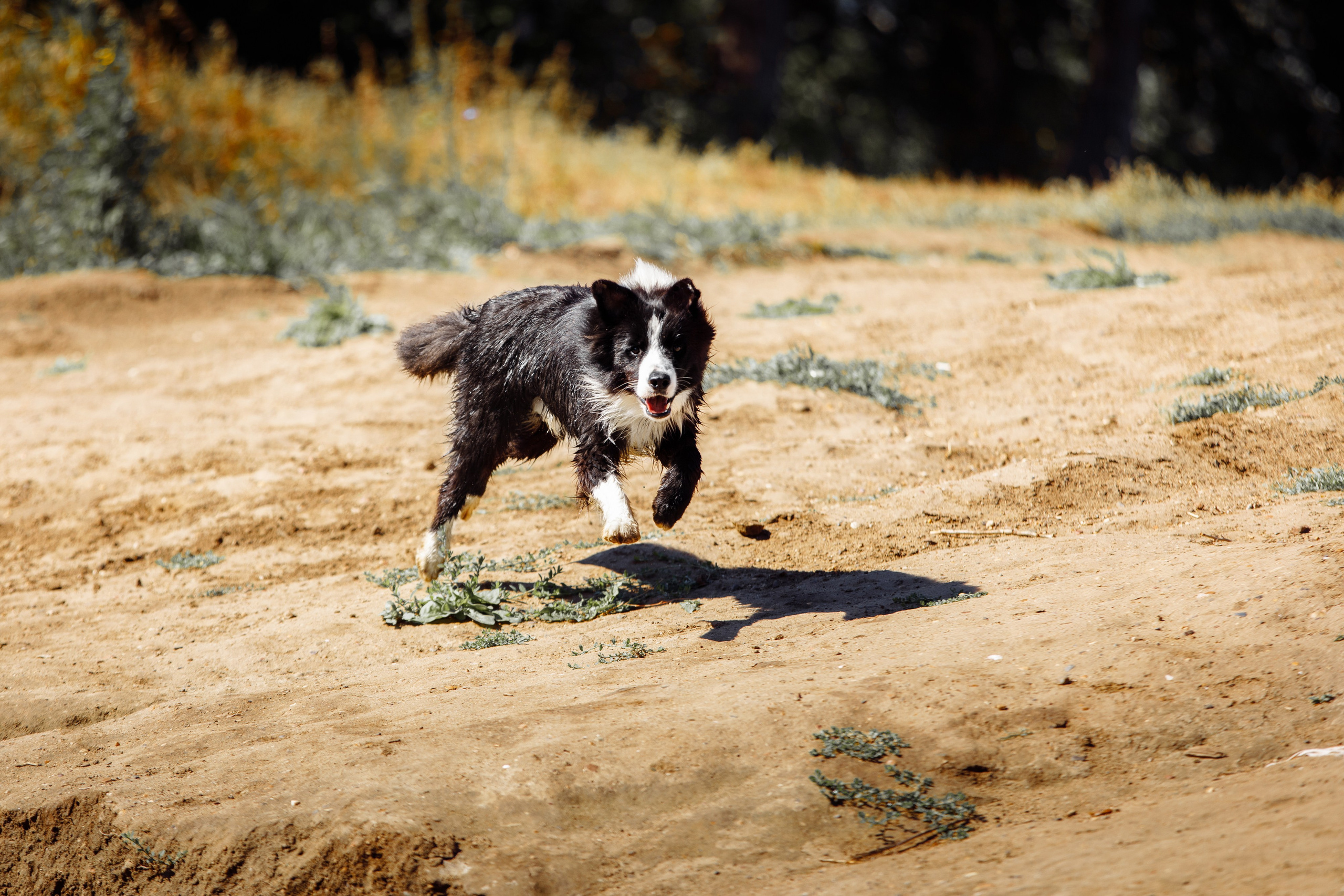 Водяные в Новотроицке. О нас