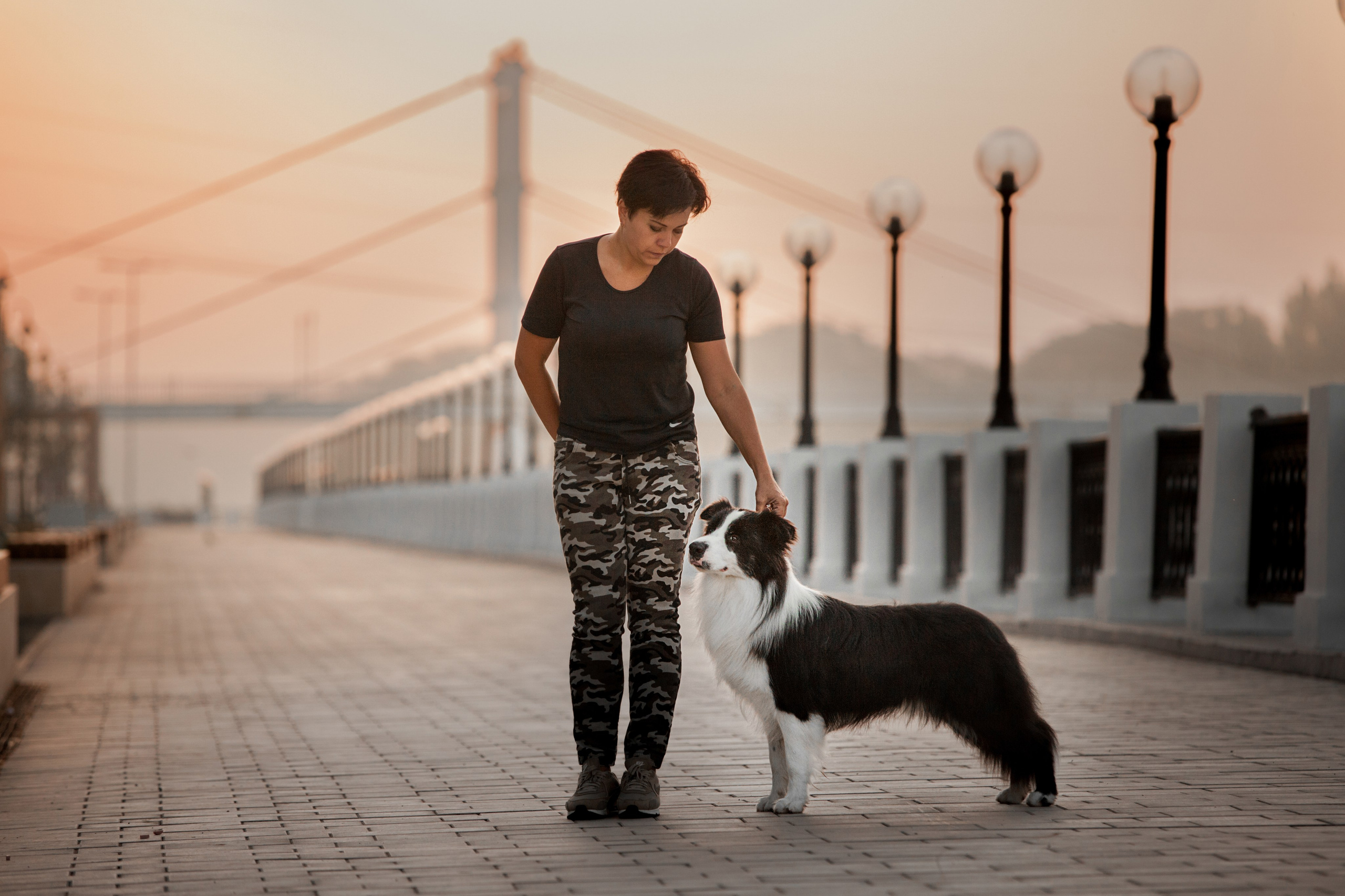 Сочный рассвет, на который решились. О нас