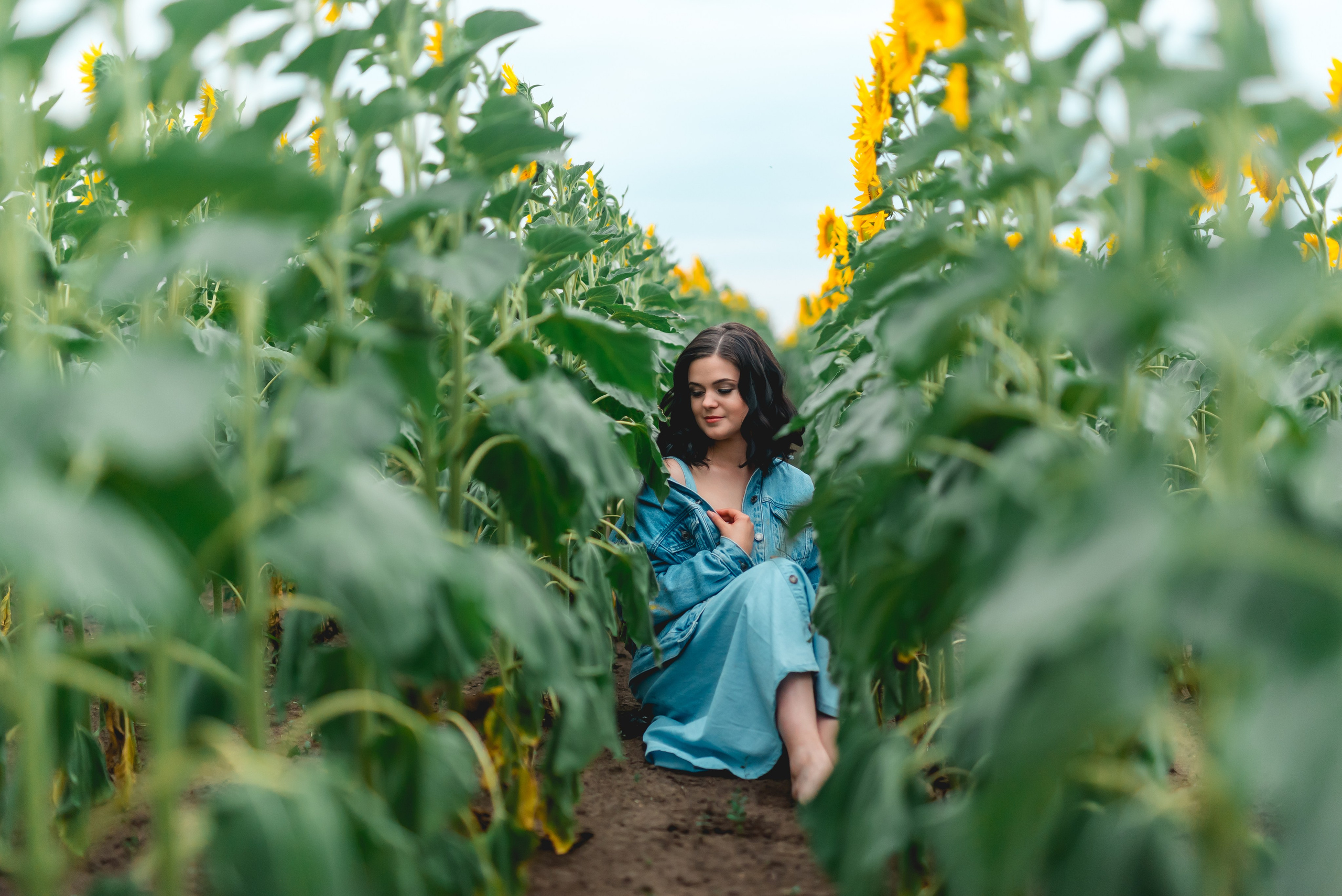 В ПОДСОЛНУХАХ. Семейный фотограф в Барнауле