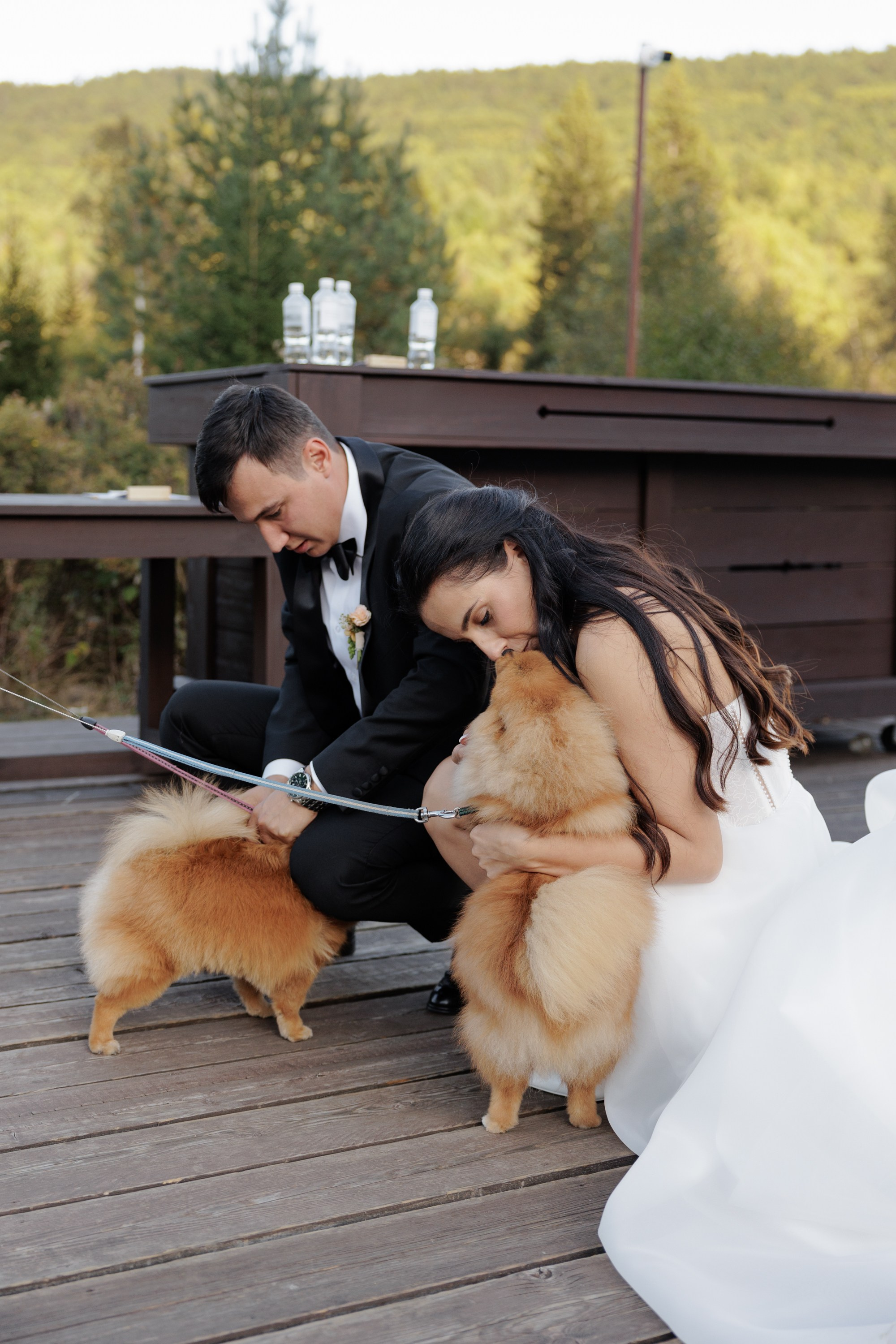 Дмитрий и Алёна. Свадебный фотограф