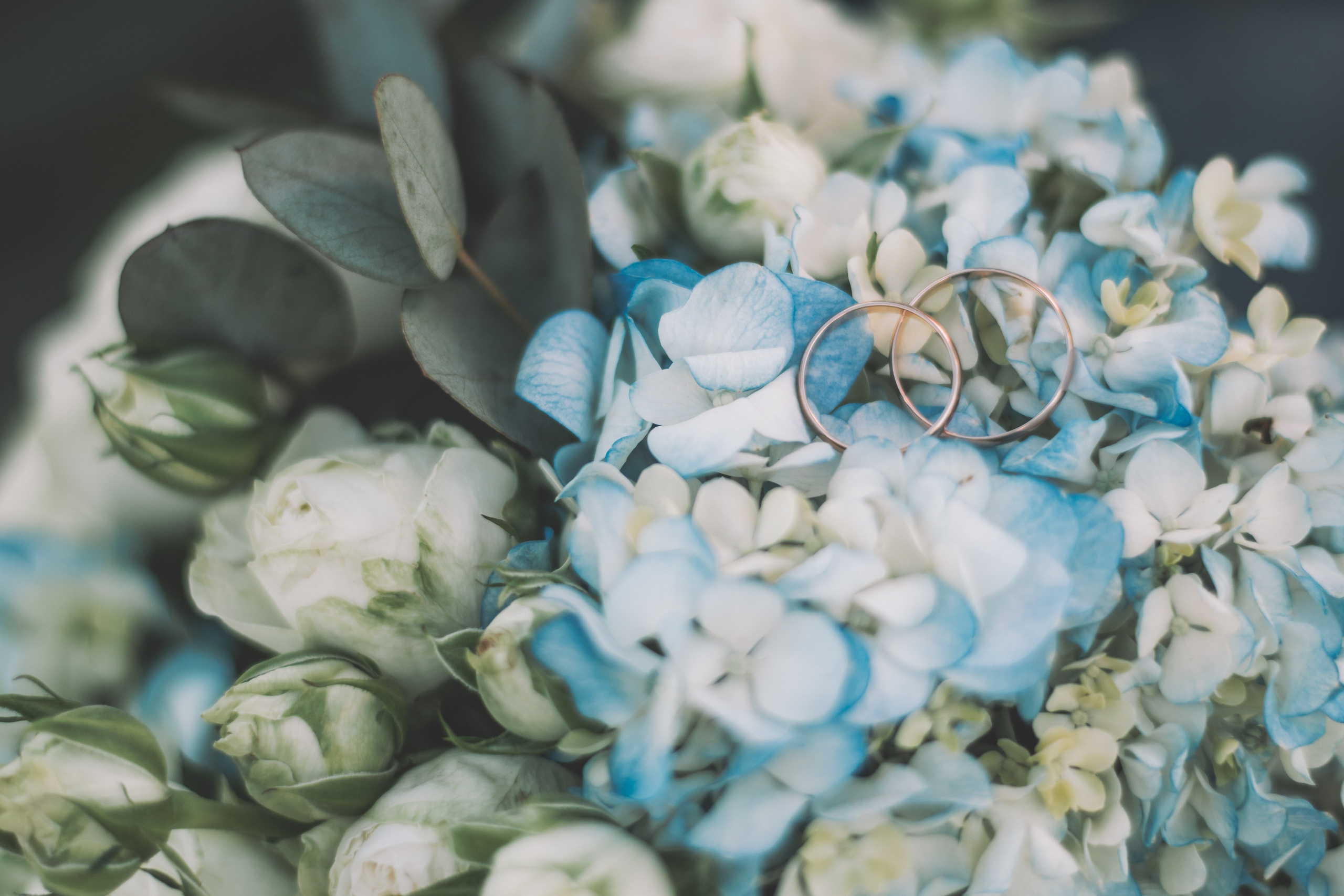 Екатерина и Илья. Семейный и свадебный фотограф Губкинский и Ставрополь