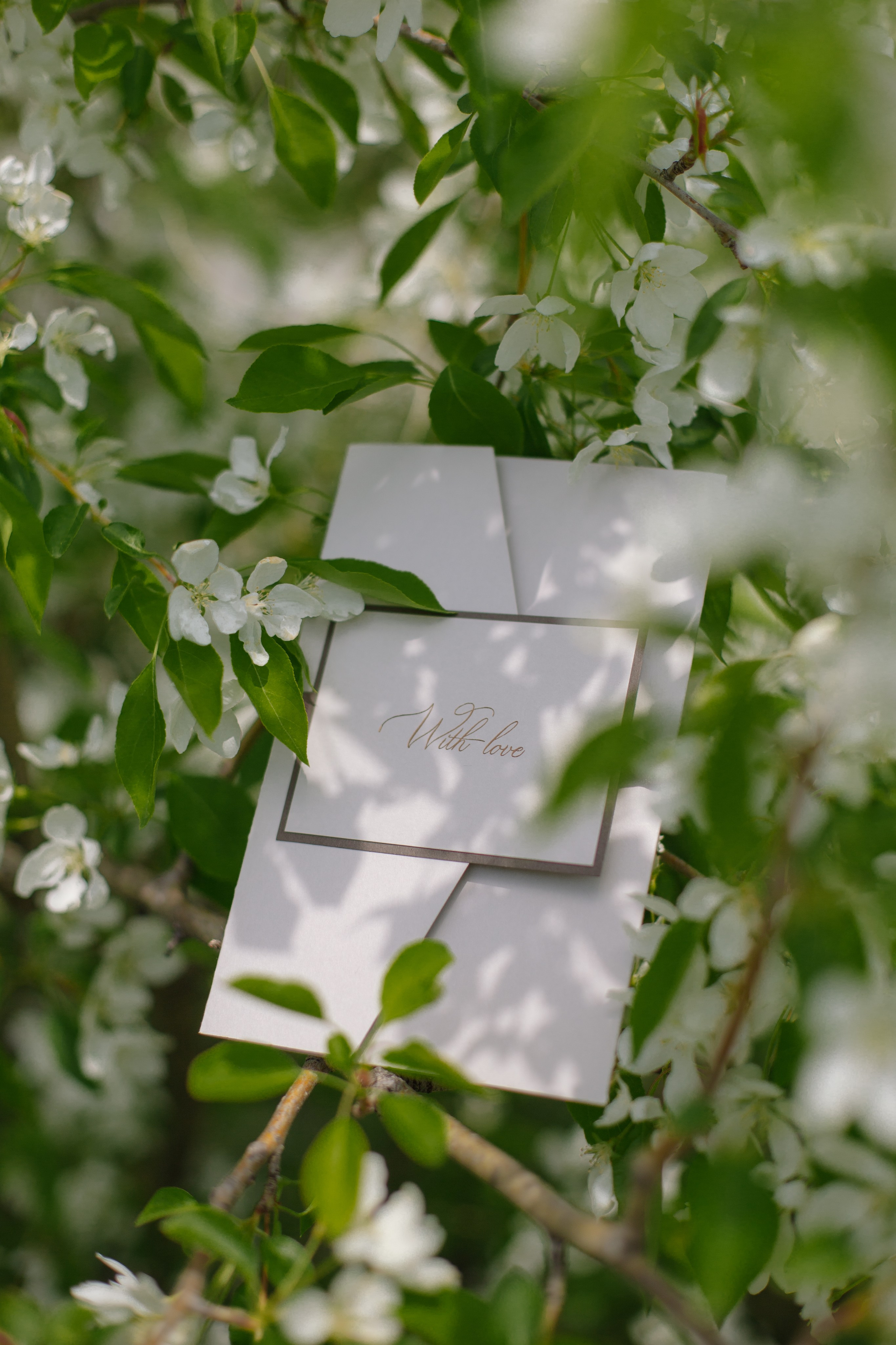 Контент для отелей. Фотограф Горный Алтай