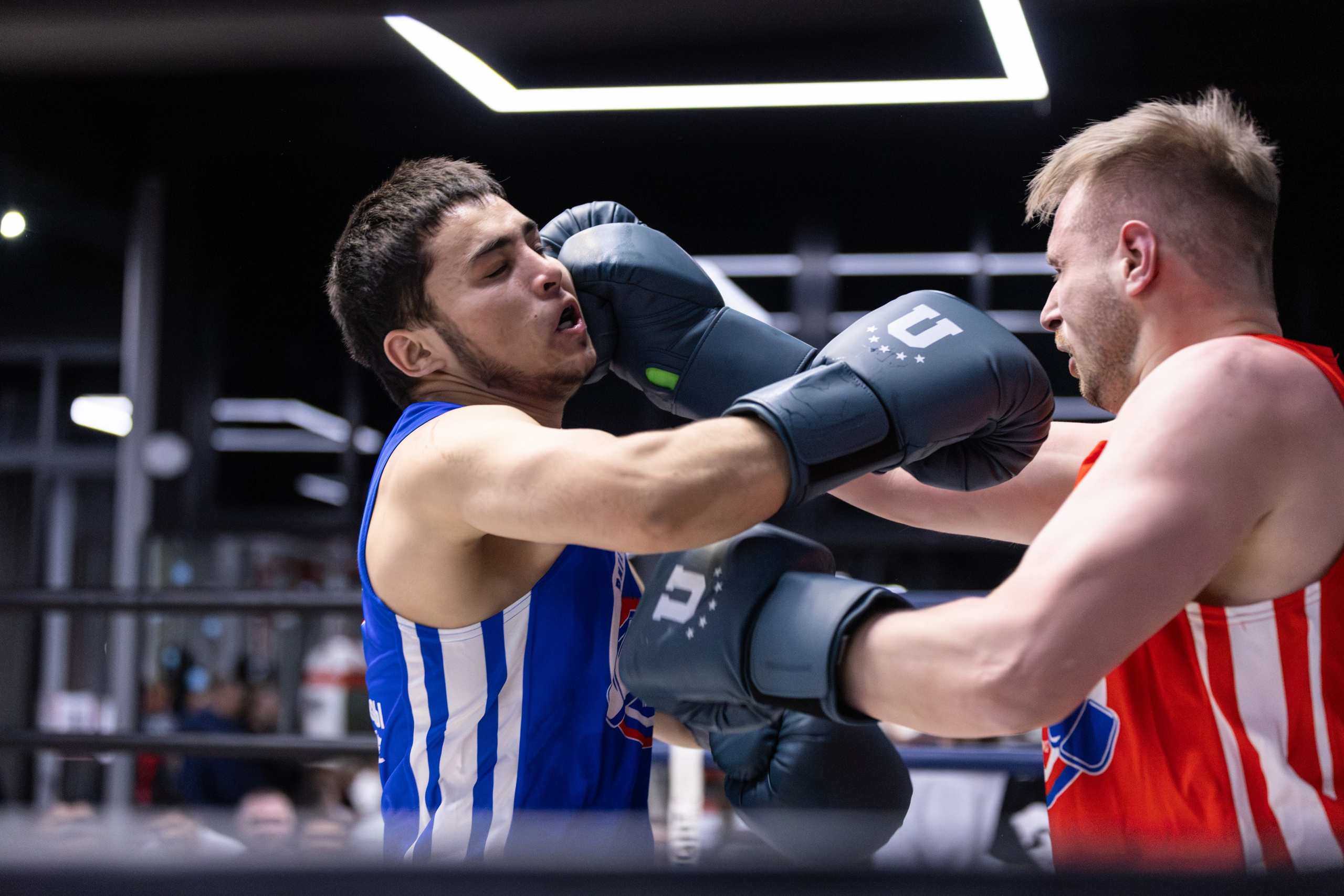 Спортивная фотография бокс. Фотограф в Москве портреты | репортажи | спорт