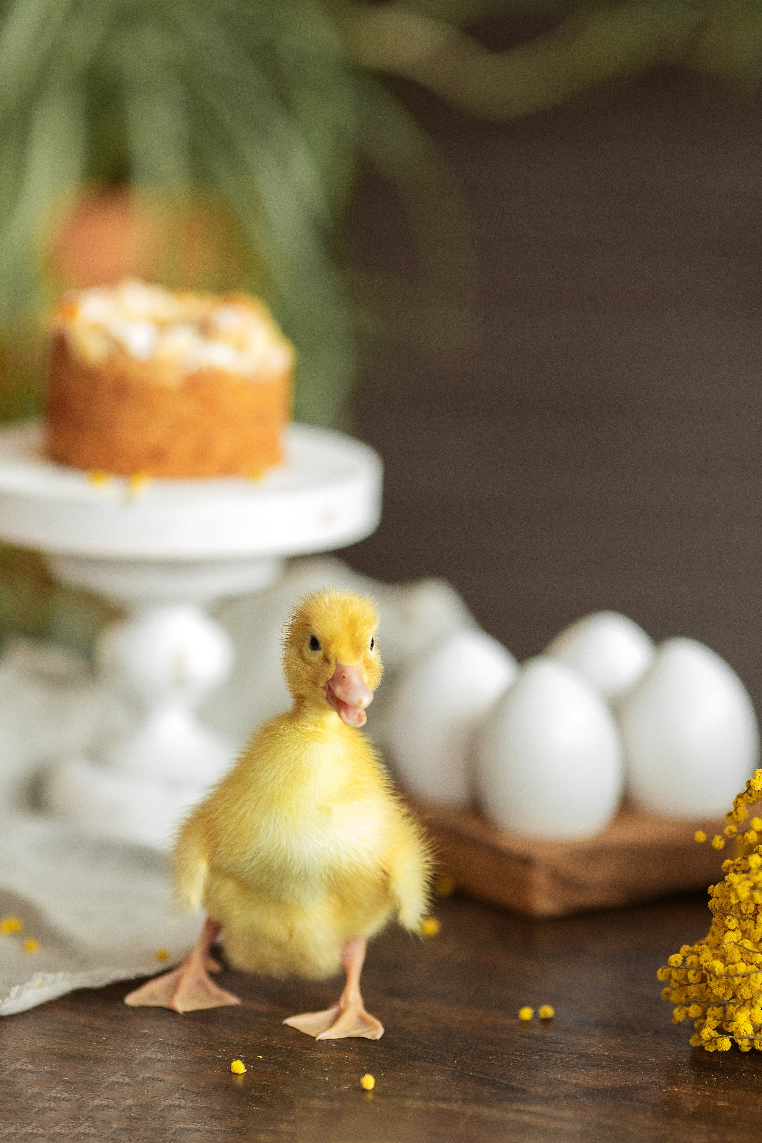 ПАСХАЛЬНЫЙ ФОТОПРОЕКТ. Фотостудия Фонарь