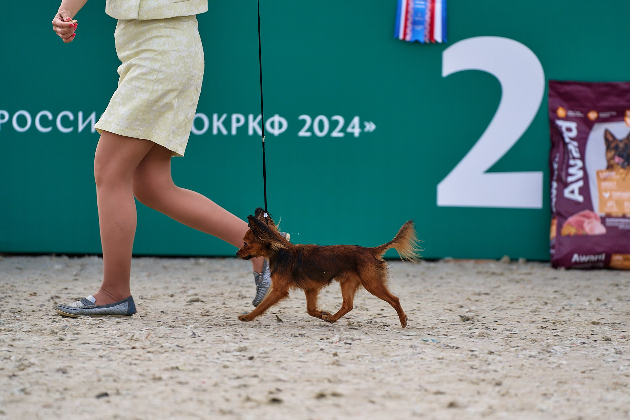 09.06.2024, «РОССИЯ. КУБОК МОСКВЫ 2024 & КУБОК ГОРОДОВ-ГЕРОЕВ»