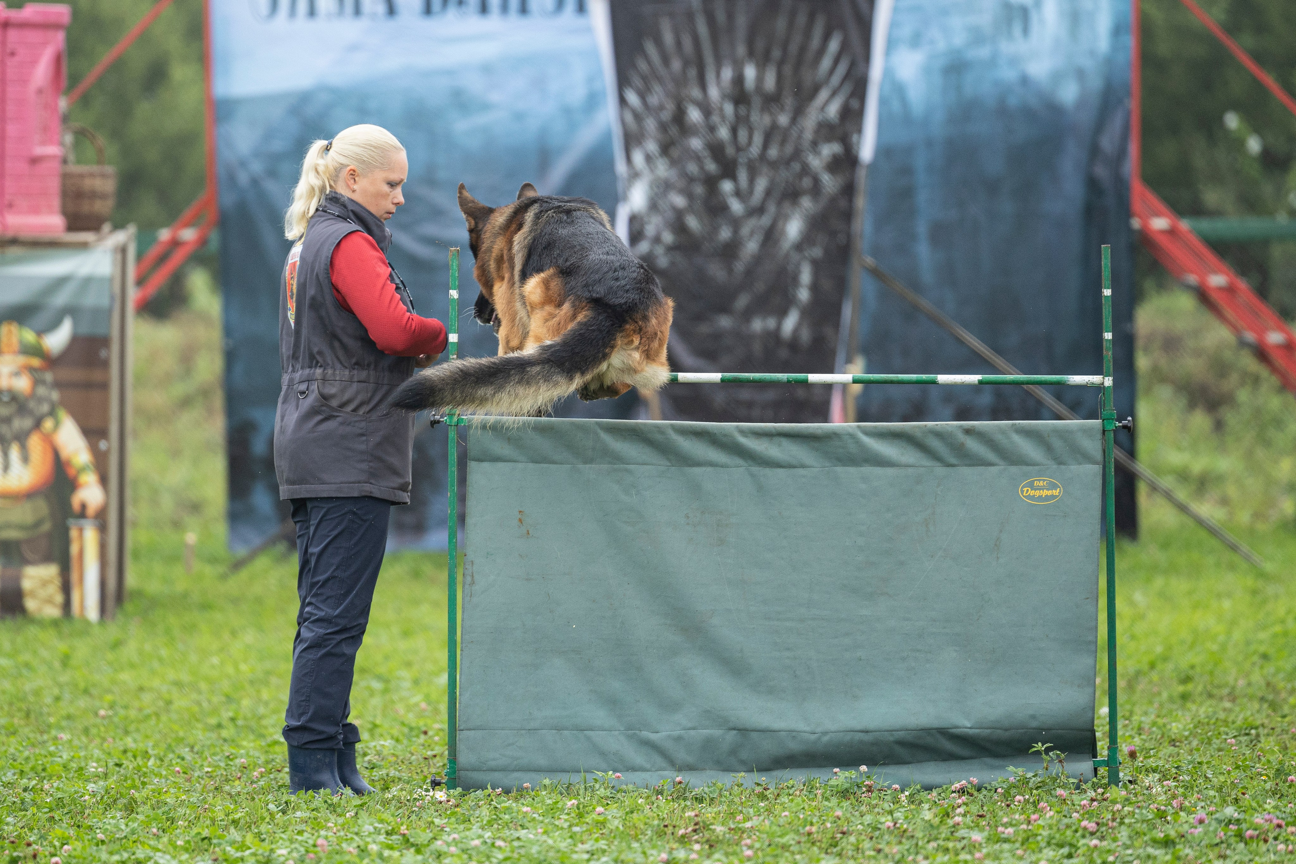 Соревнования по Мондьорингу г. Вологда 10-11.08.2024. Фотограф-анималист Анна Маринич