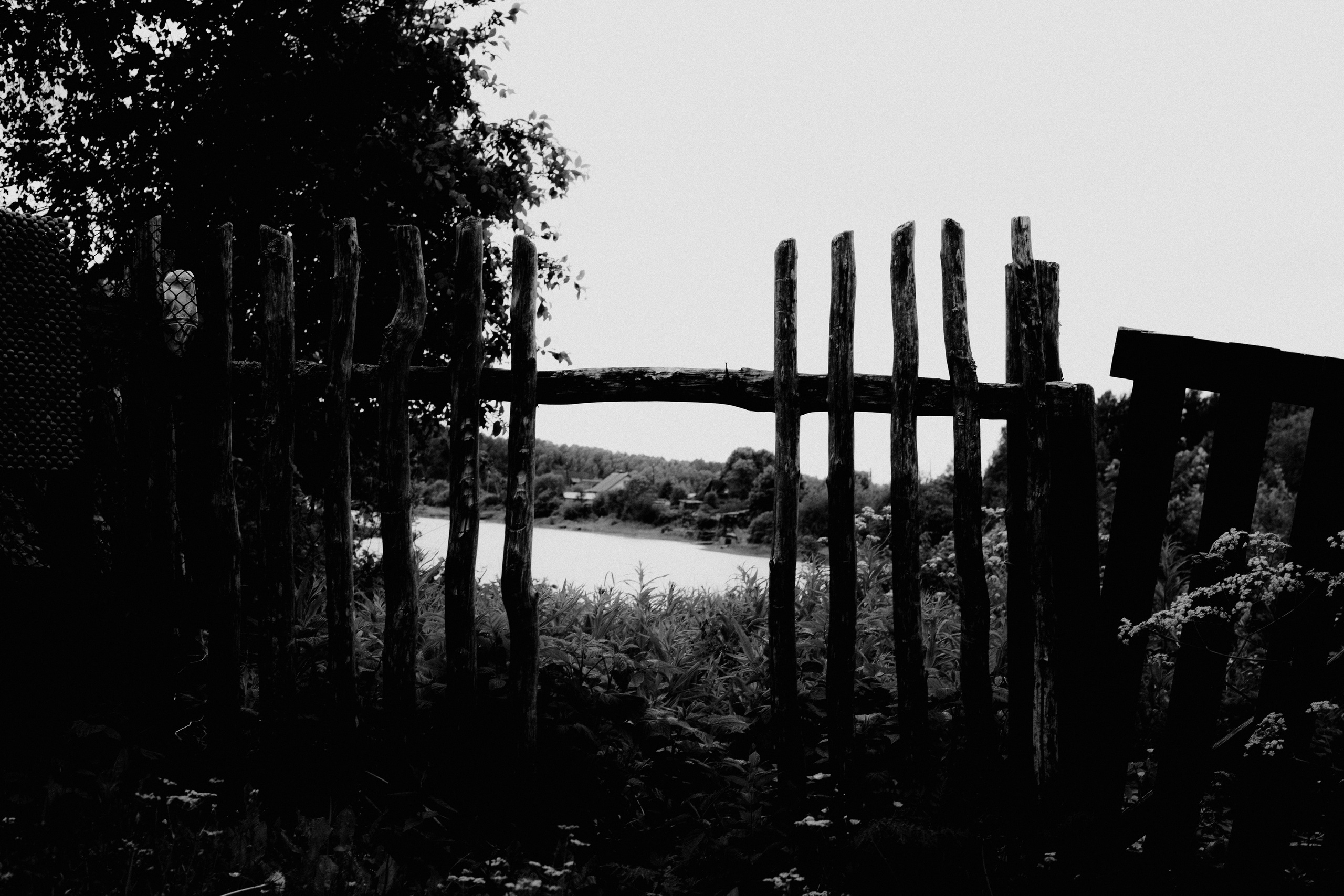 № 13. WAYHAY — Портретный фотограф