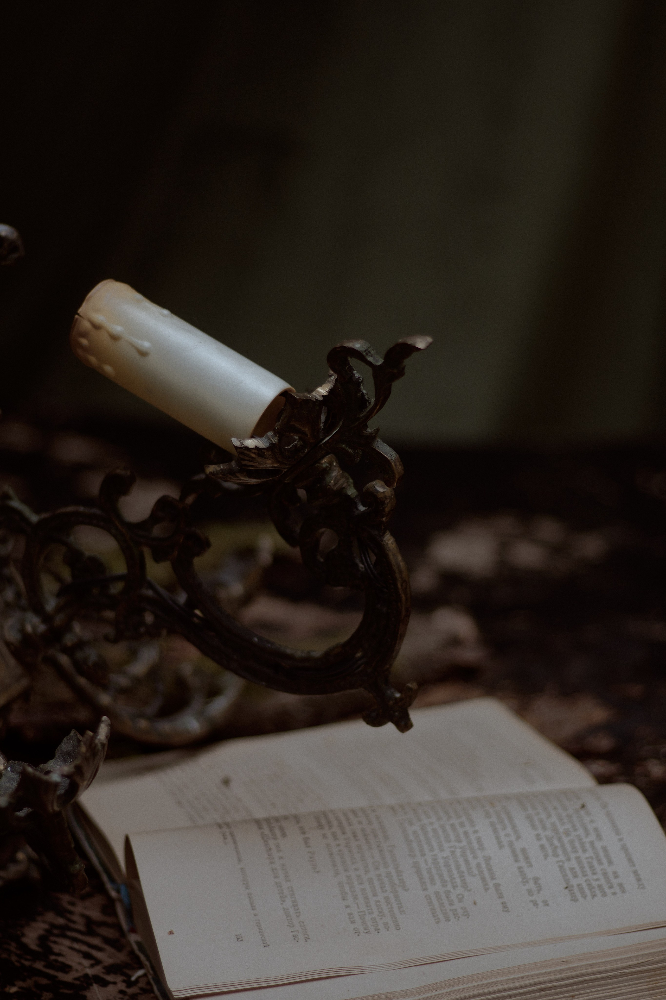 Стеклянная Оранжерея. Фотограф лавстори Москва/МО Приятелева Ангелина