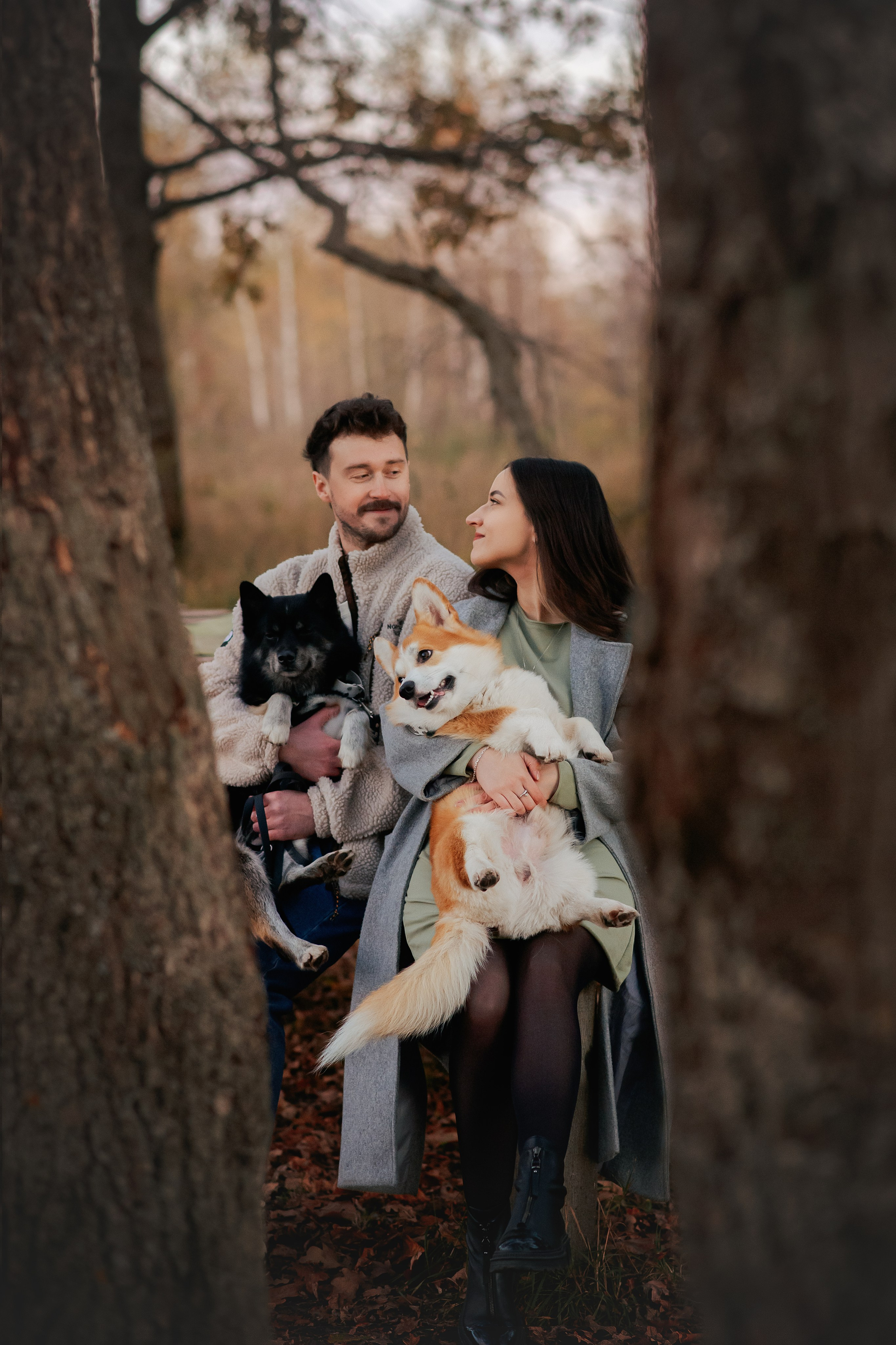 Максим, Надя, Рой и Шелби — 13.10.2024. Фотограф — Анималист | Анна Абрамова