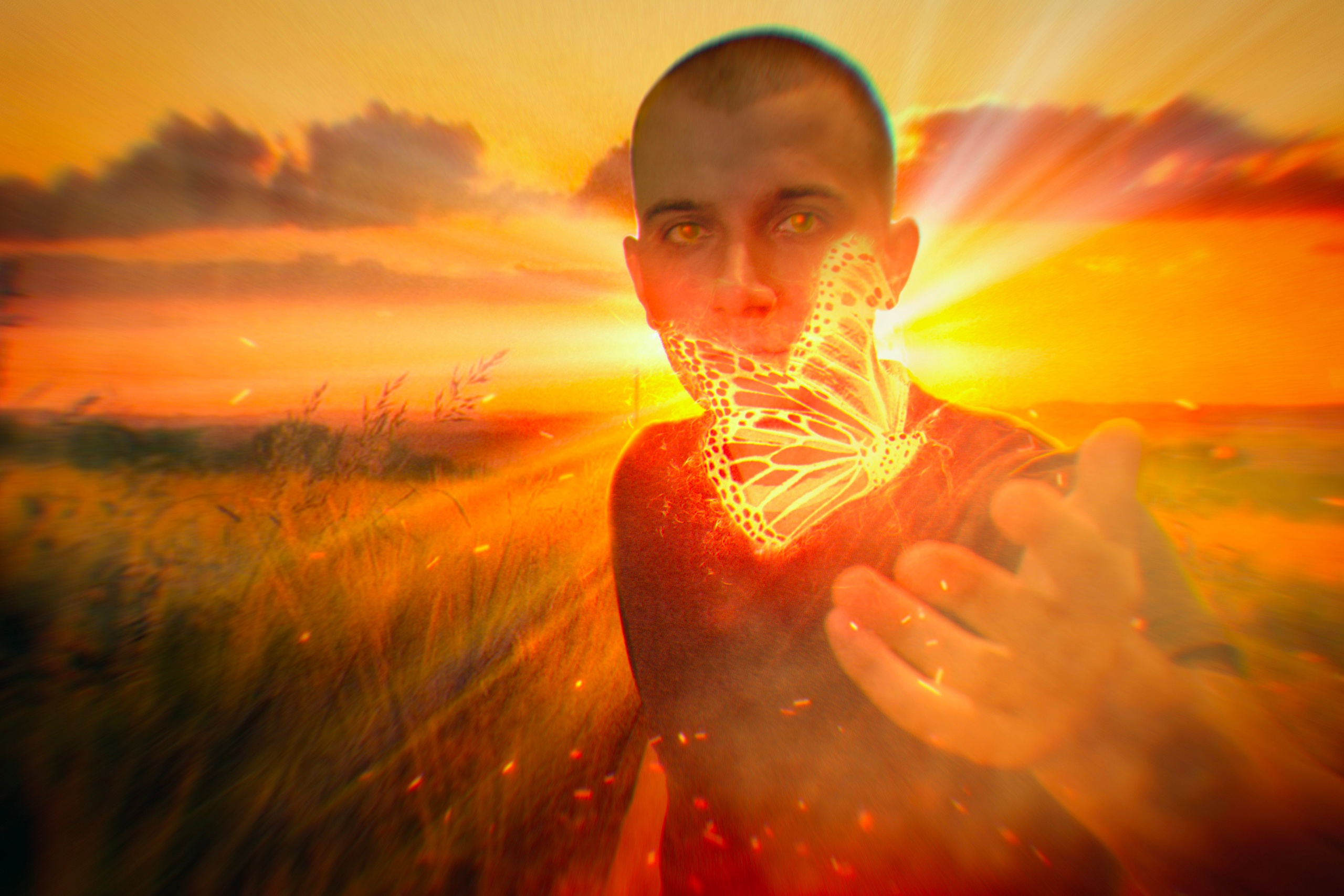 Портфолио артов