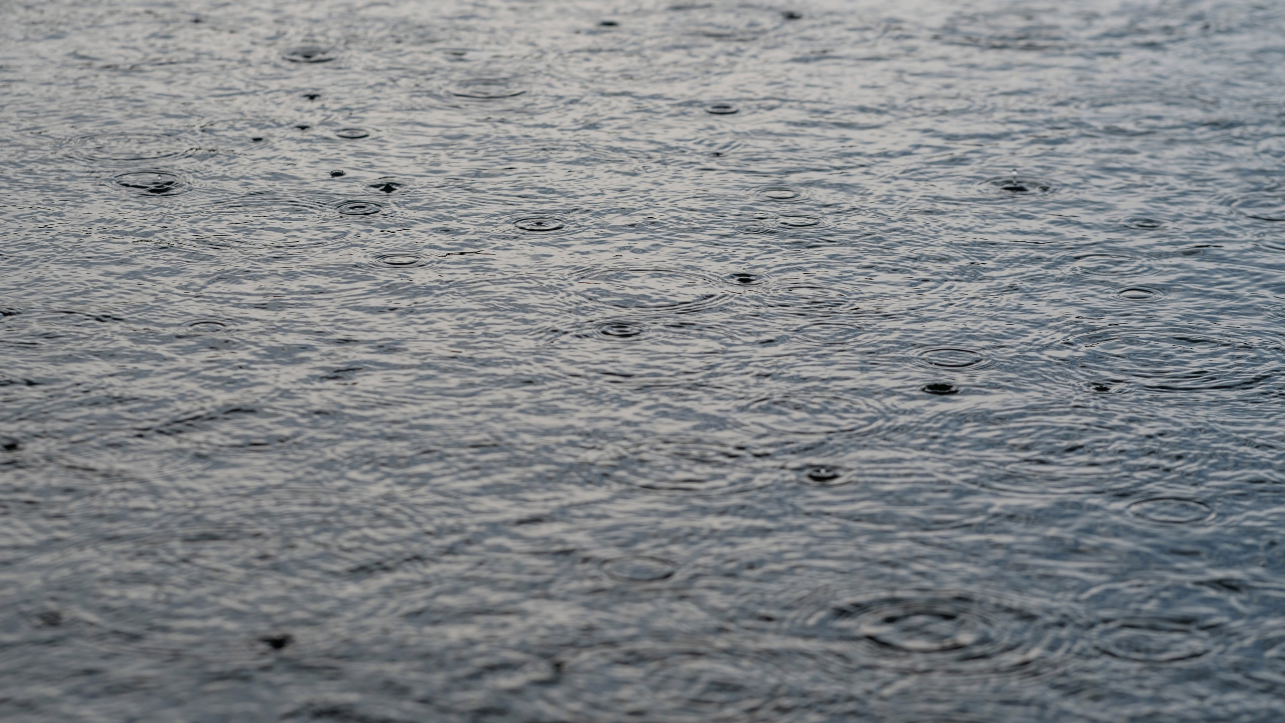 Гроза. Константин Суриков свадебный фотограф Санкт-Петербург