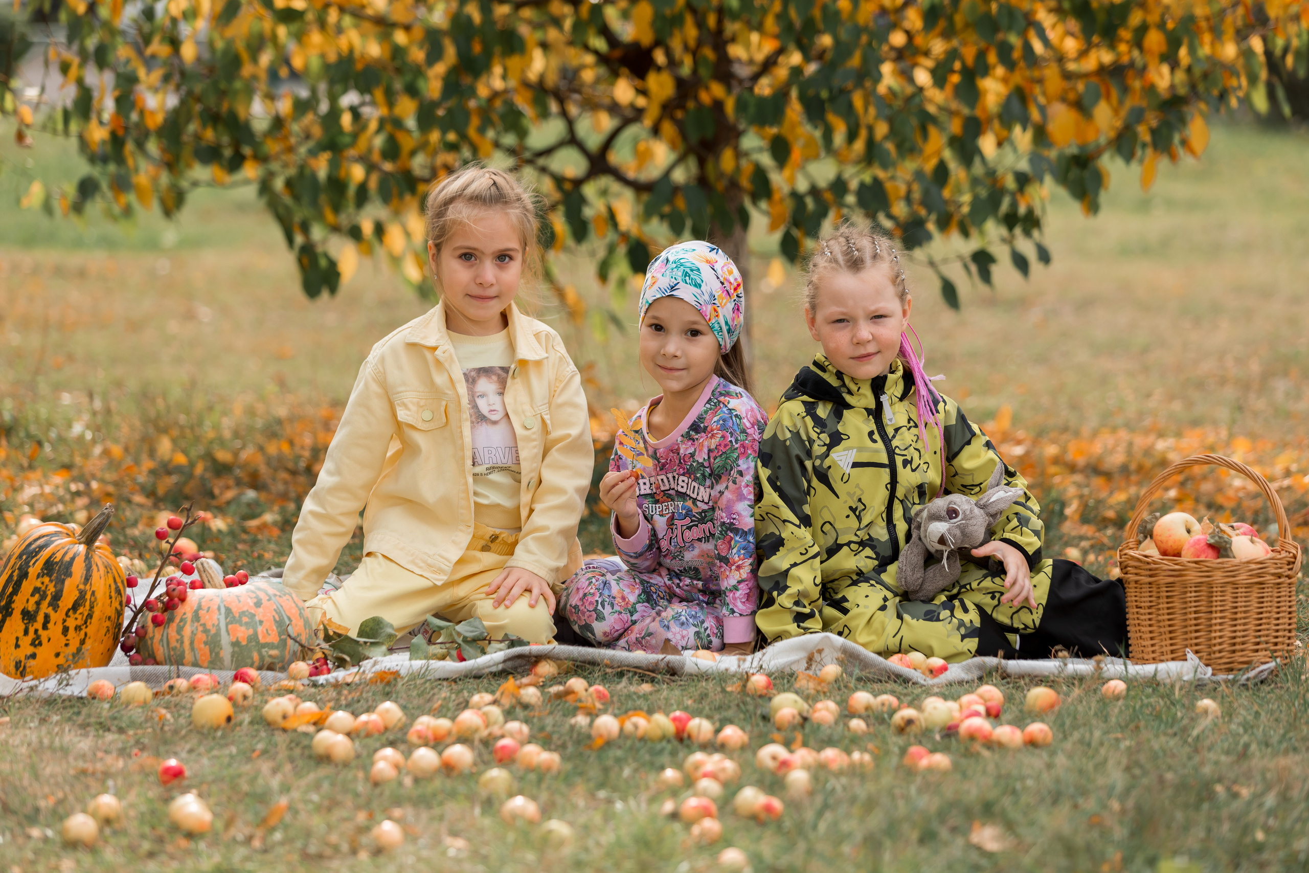 альбом танайка