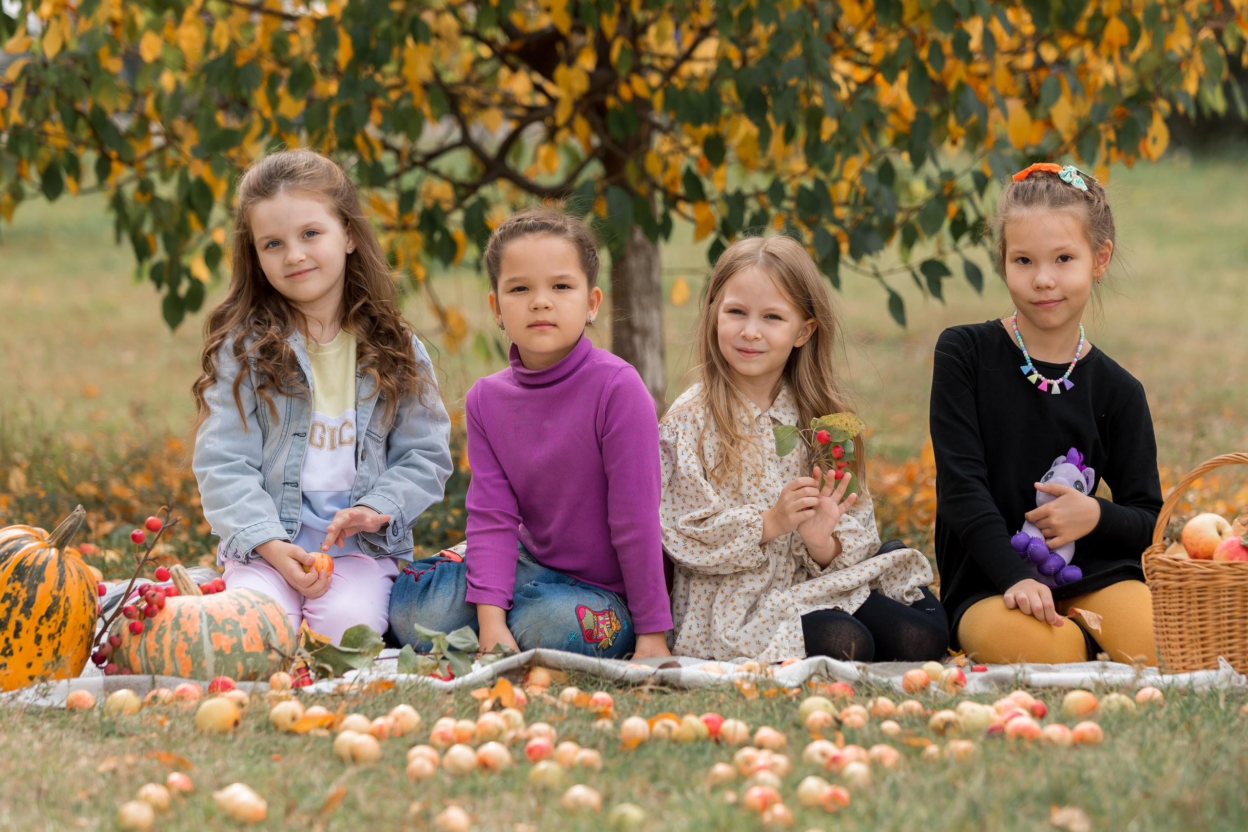 альбом круглое поле