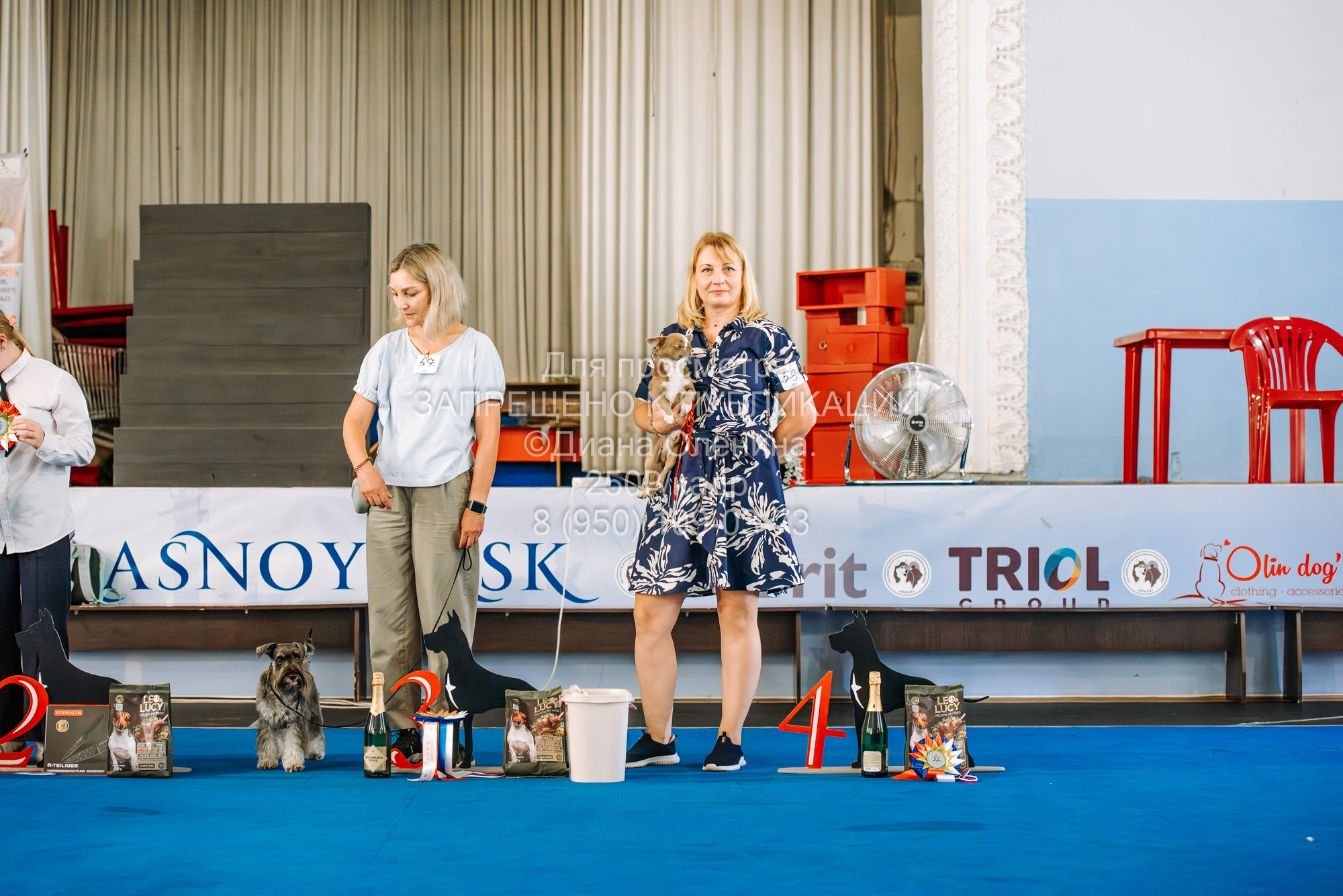 Национальная выставка собак всех пород ранга САС-IKU «Кубок Красноярск. Фотограф Диана Оленина Красноярск / Братск