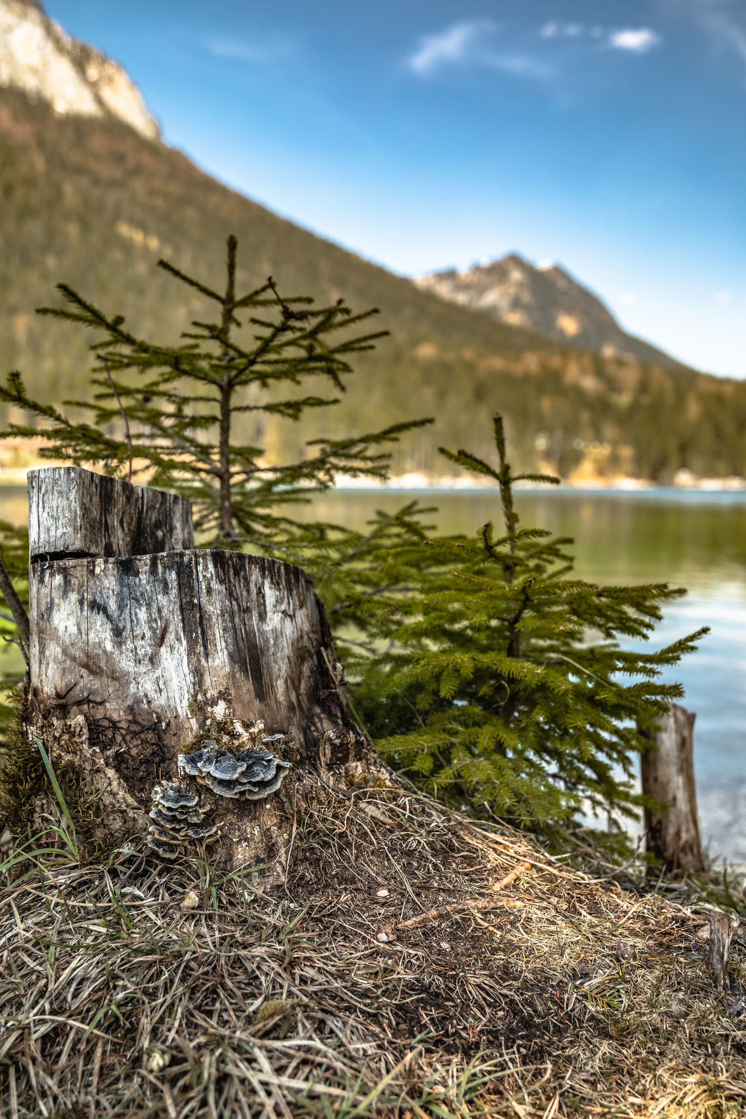 TRAVEL&NATURE. NE Cinema — backstage and reportage photography in cinema, music, Automotive and sport