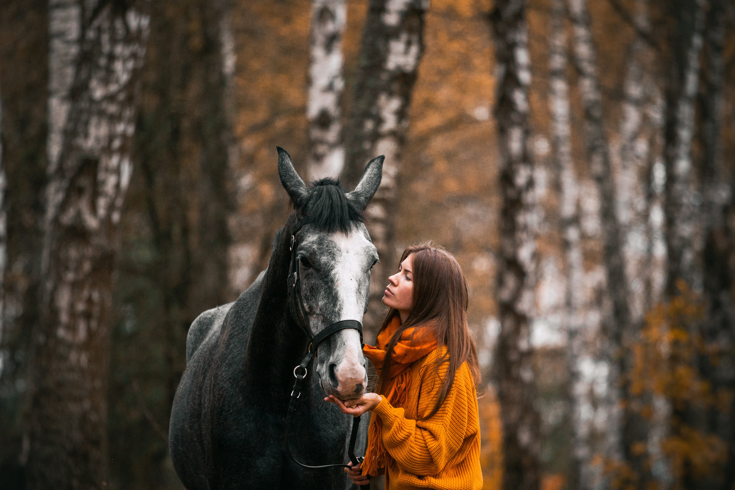 Аня и Джози. Фотограф-анималист Татьяна Степанова