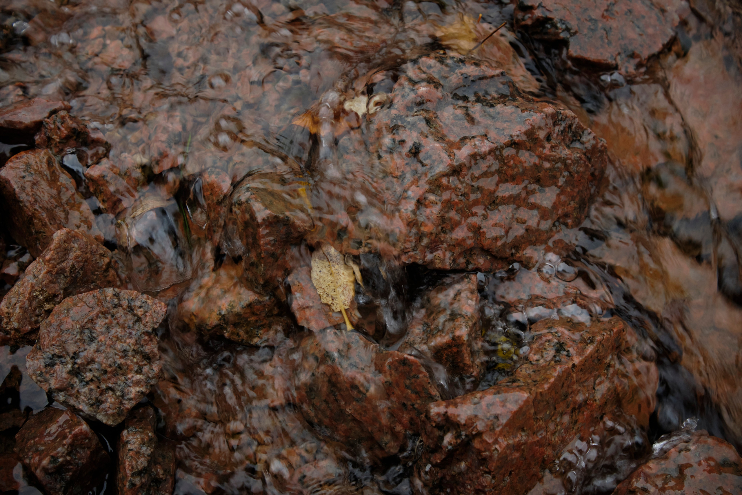 Путешествие в Териберку. Елена Павленко. Фотограф. Москва