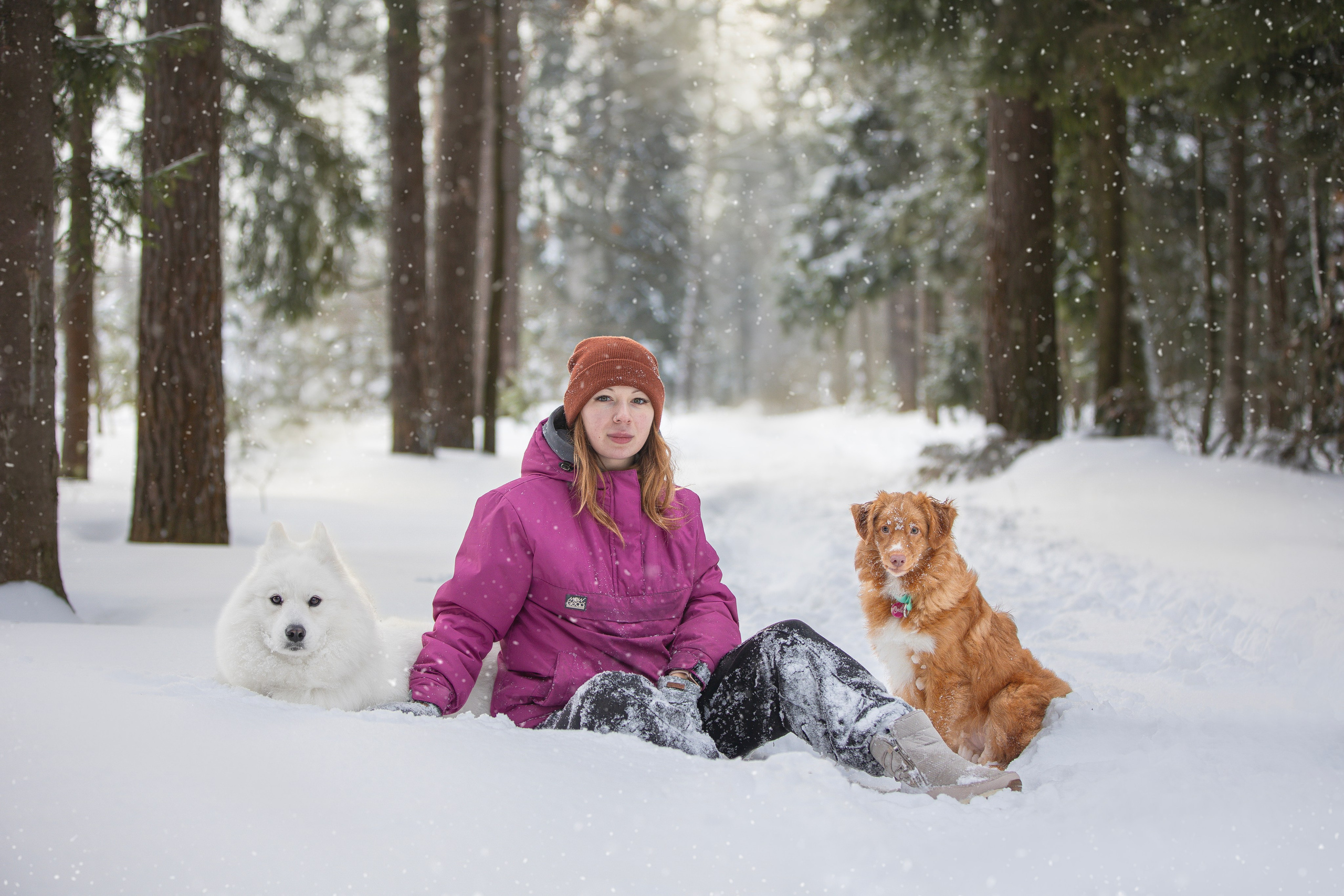 Руби, Николь, Кирилл и Мила. Фотограф анималист в Москве Майорова Евгения