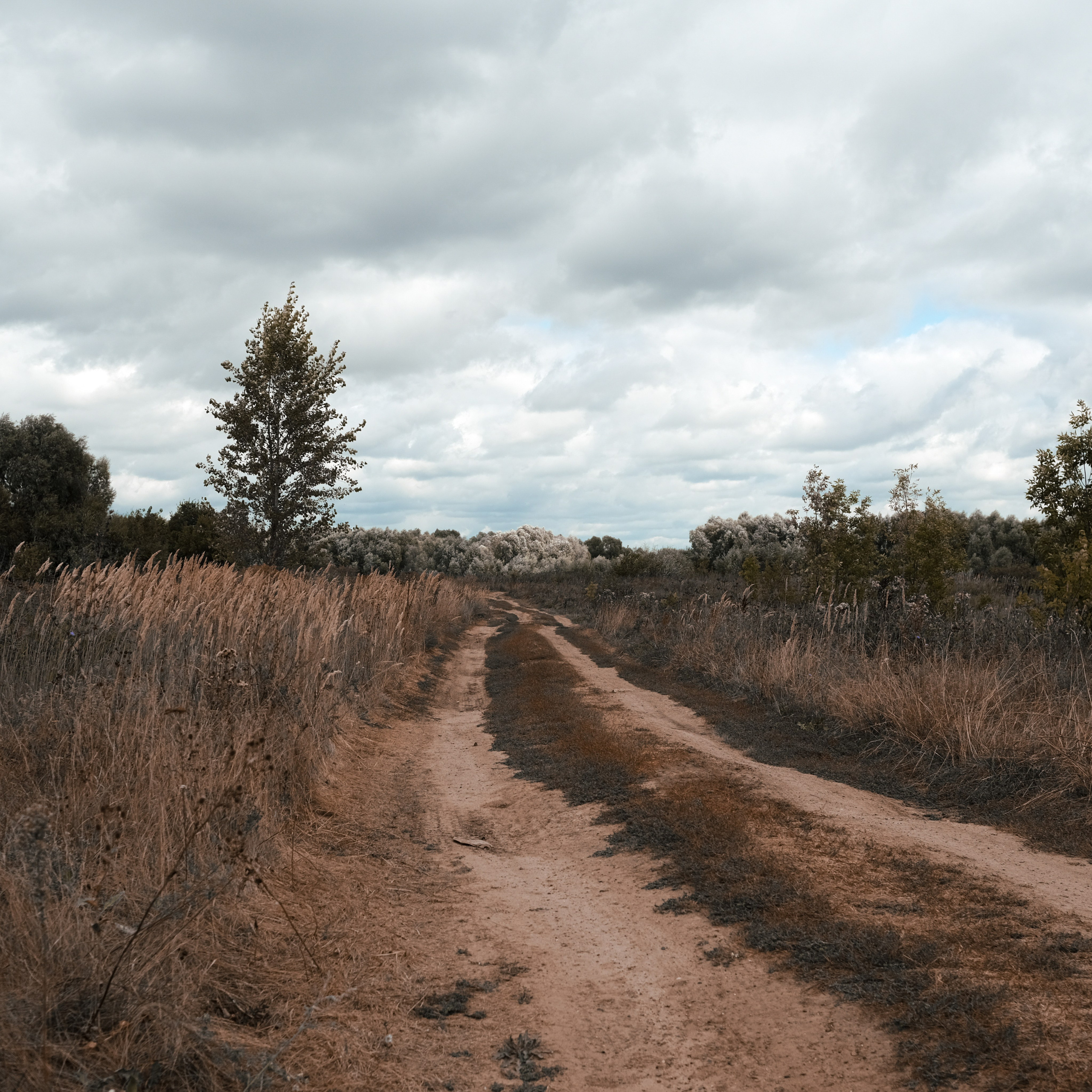 Эко-фестиваль АртЛуга 2022. LIYALEE PHOTO