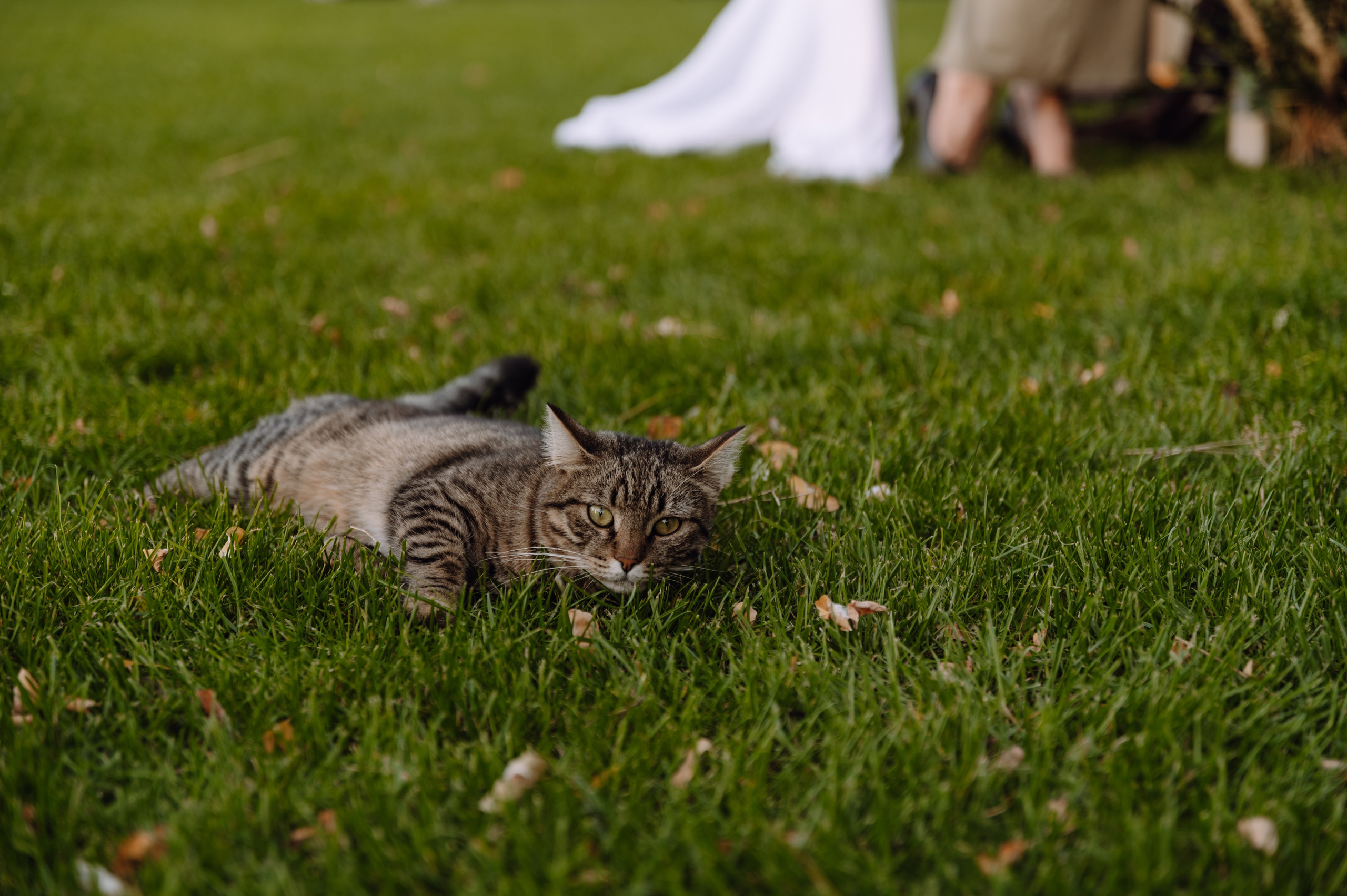 Усадьба. Свадебный и семейный фотограф Анастасия Снежная