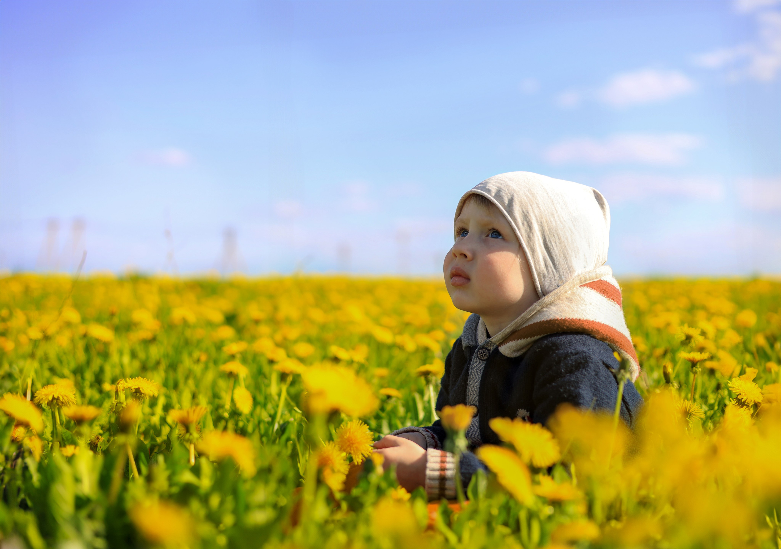 Портфолио. Индивидуальный фотограф в Сергиевом Посаде Наталья Румянцева