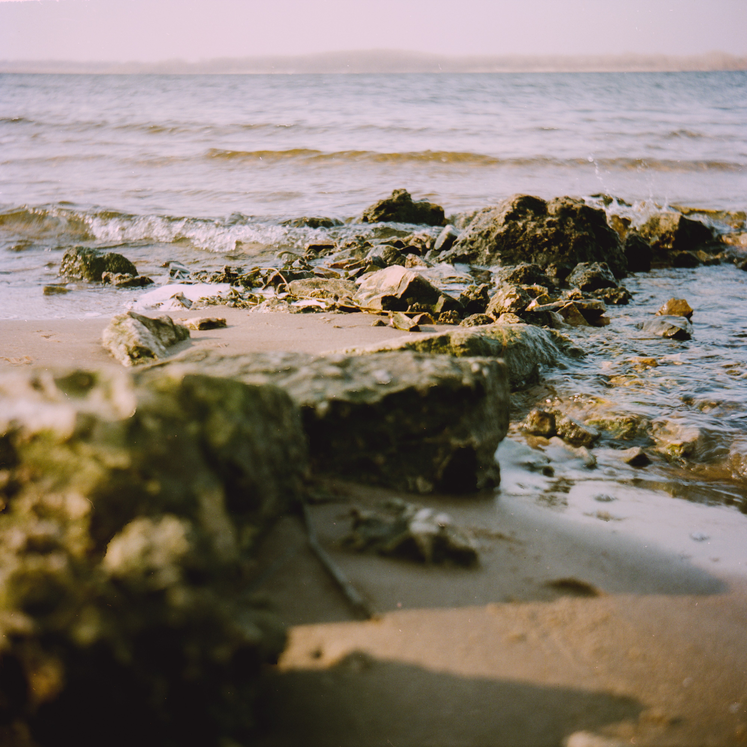 Пленочная история. Дмитрий Пропадалин, Нейрофотография