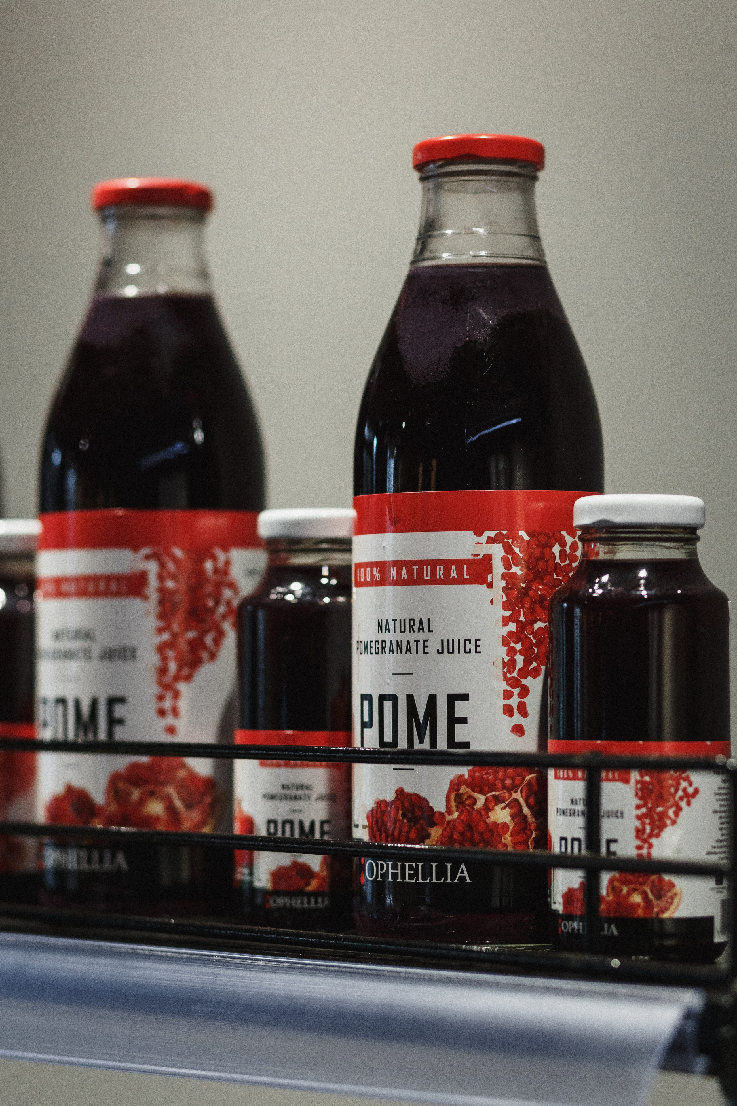 Открытие Сети Магазинов морепродуктов 'Дикая Устрица' в Таганроге. Свадебный и семейный фотограф в Таганроге Бакарюк Антон