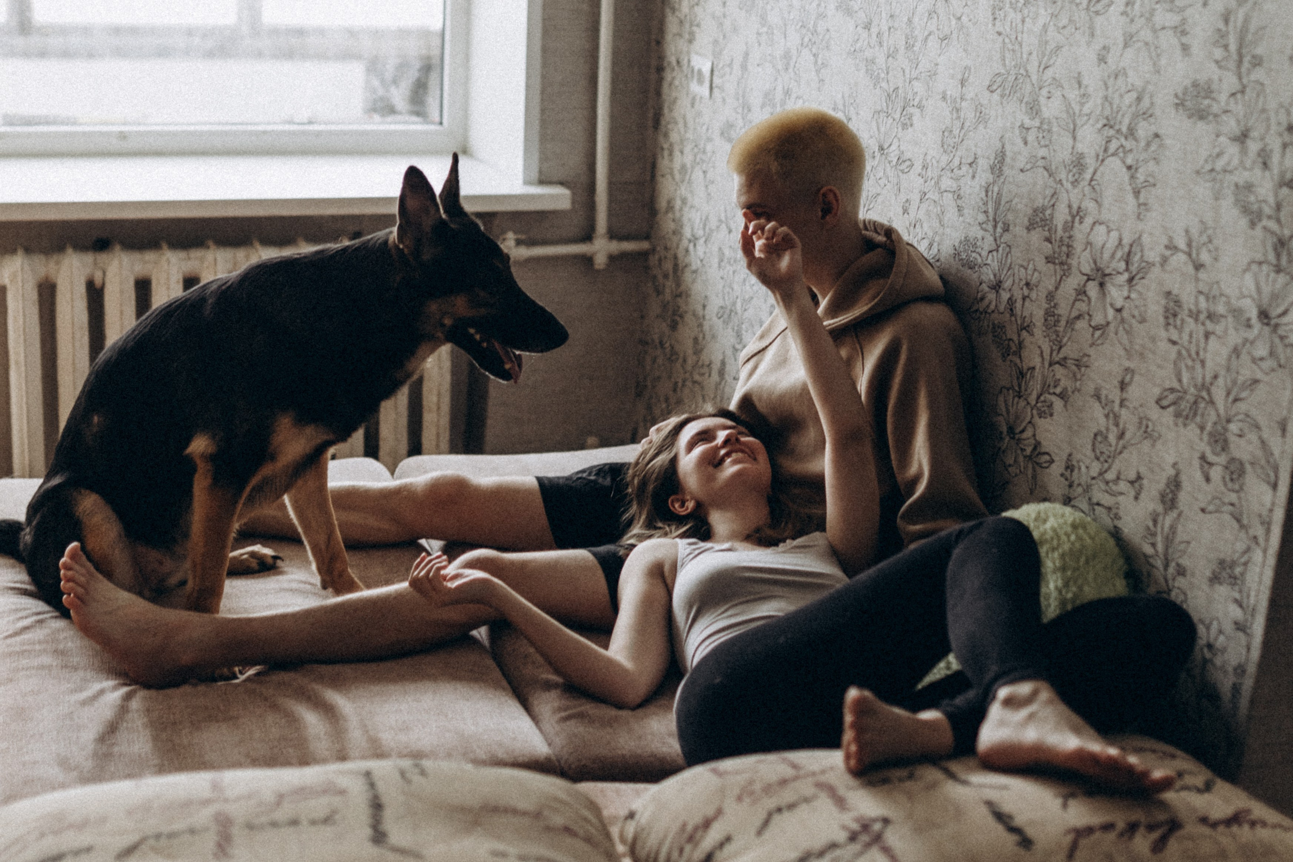 Матвей и Полина, а также кот и собака. Семейный фотограф lifestyle в Новосибирске Елена Шпилевая