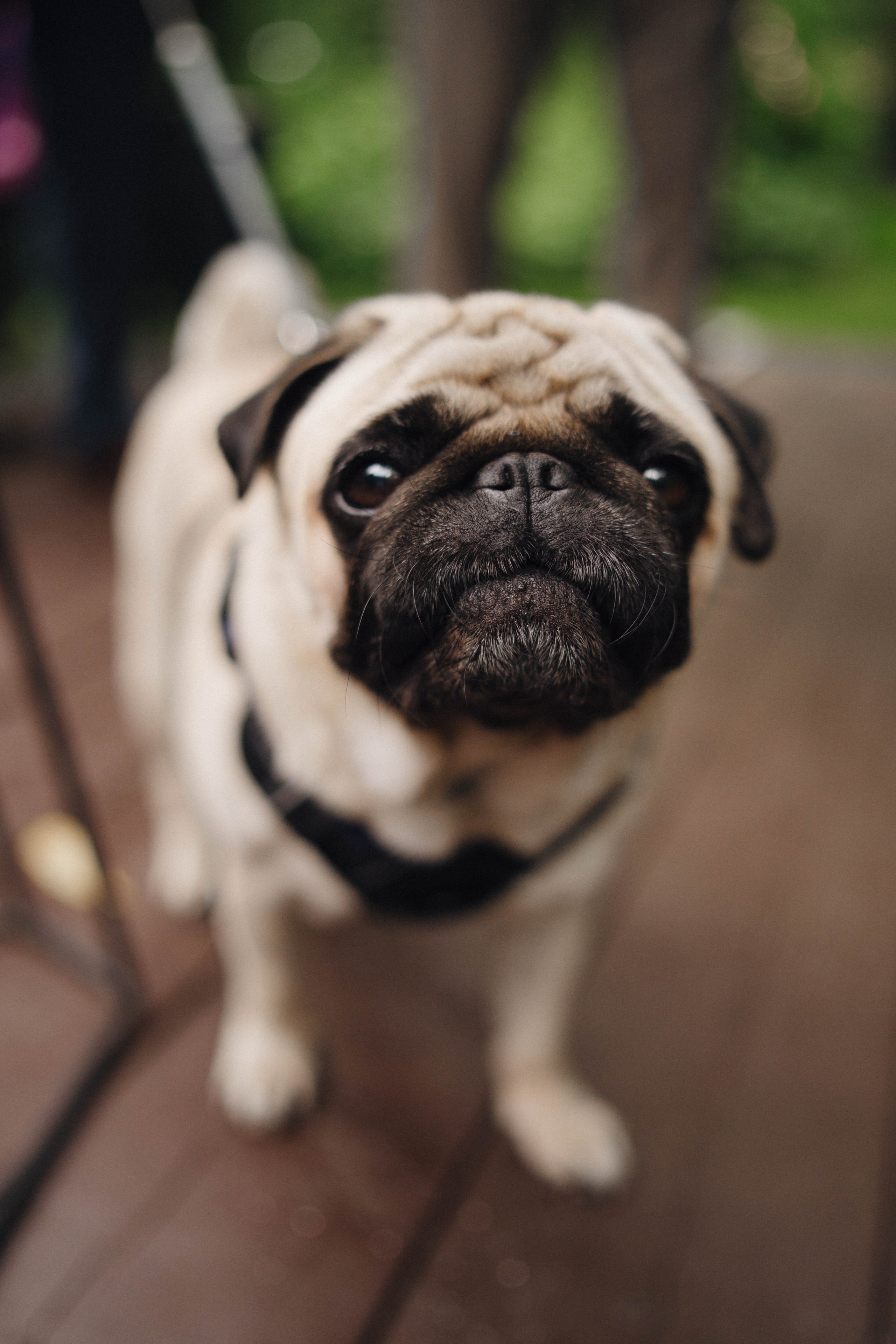 Евгений и Александра. Фотограф/ видеограф Катя Ильина Калуга