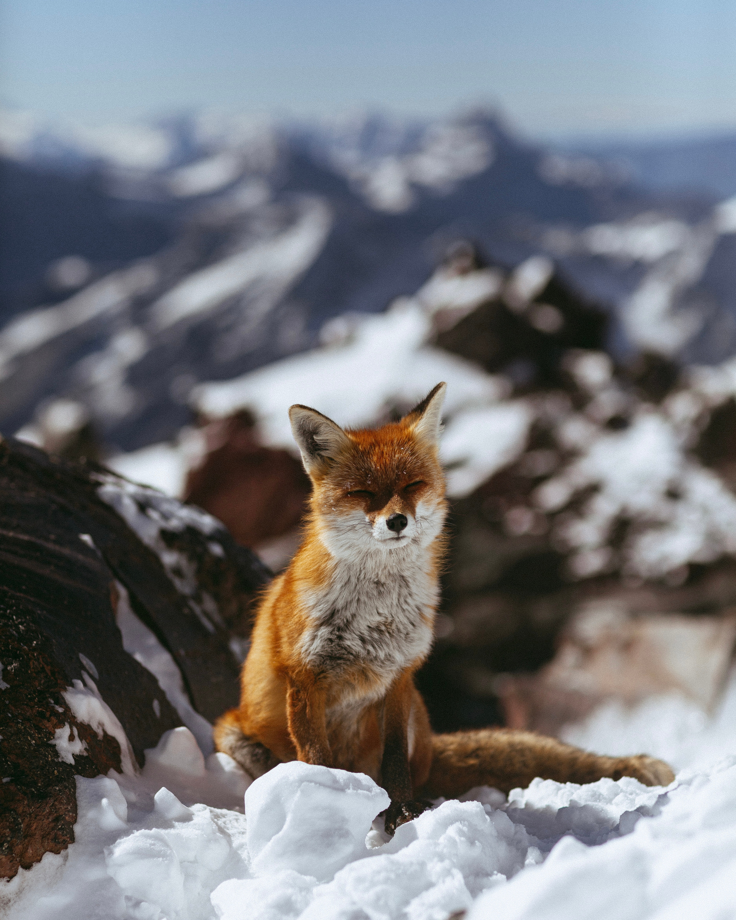 Восхождение на Эльбрус с юга. Уникальные экспедиции — LUCKY CLAN