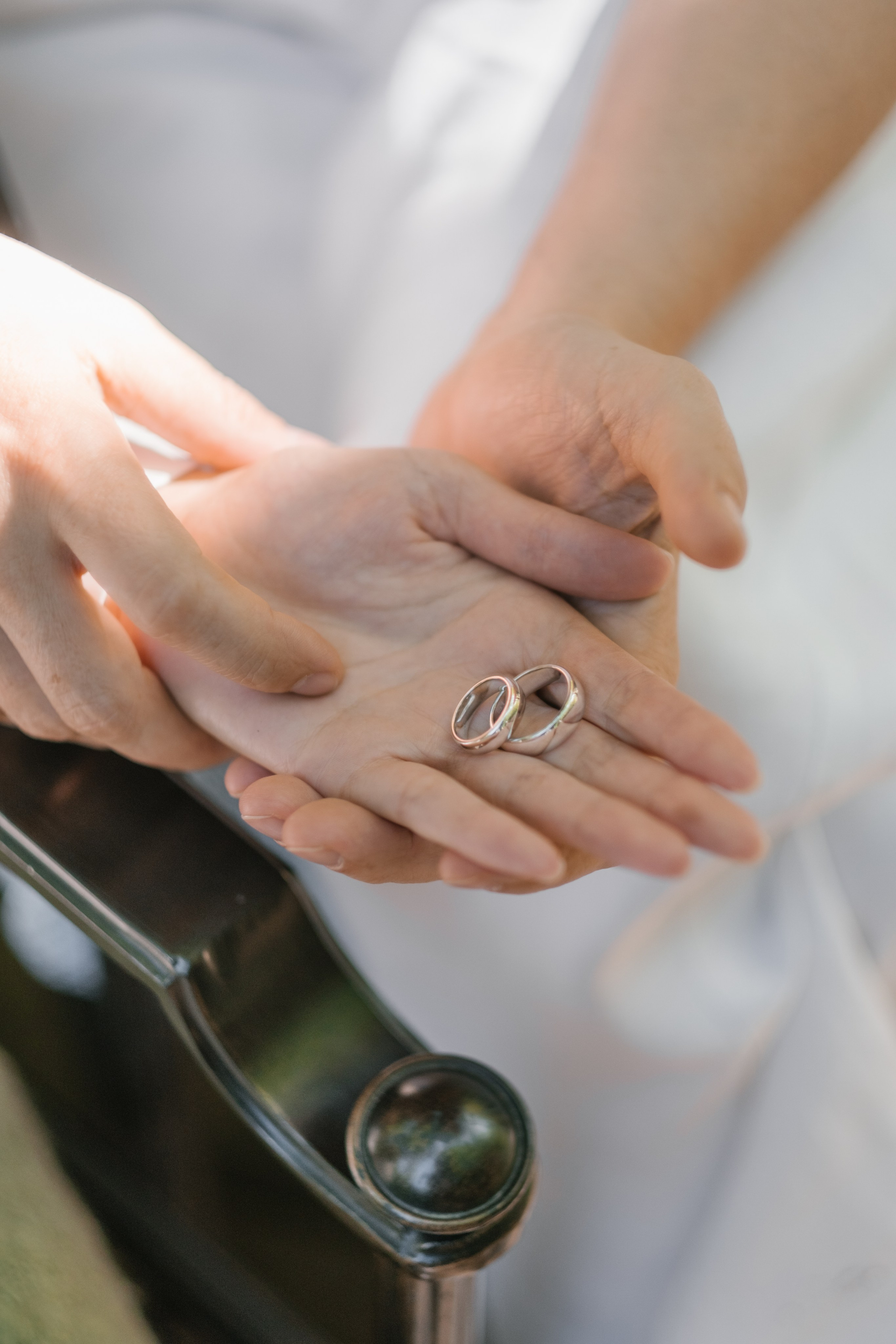 Кот и Дракон. Свадебный Видеограф Фотограф в Сочи