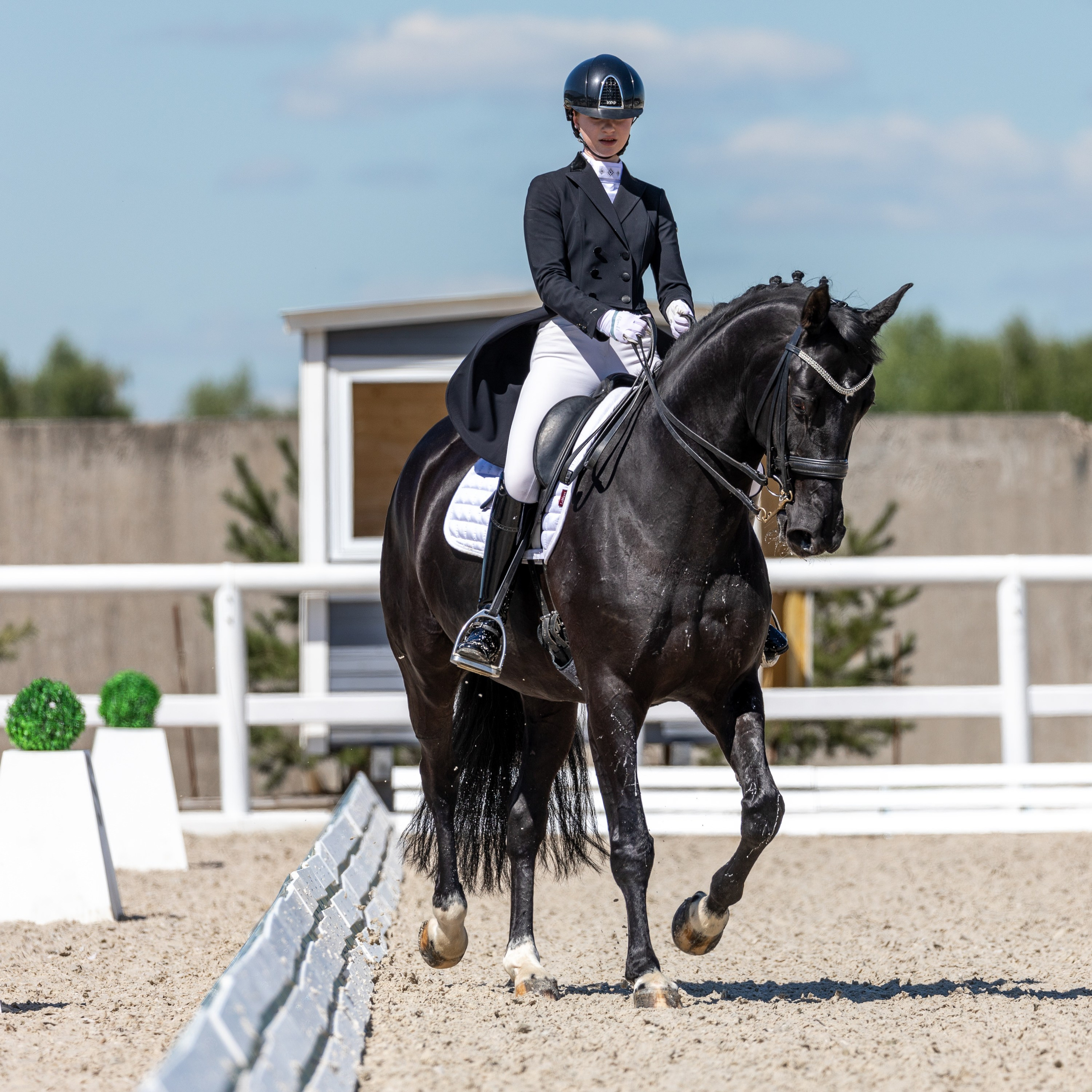 Выездка. Mrs.Aquarelia Конный фотограф Марианна Леонтьева