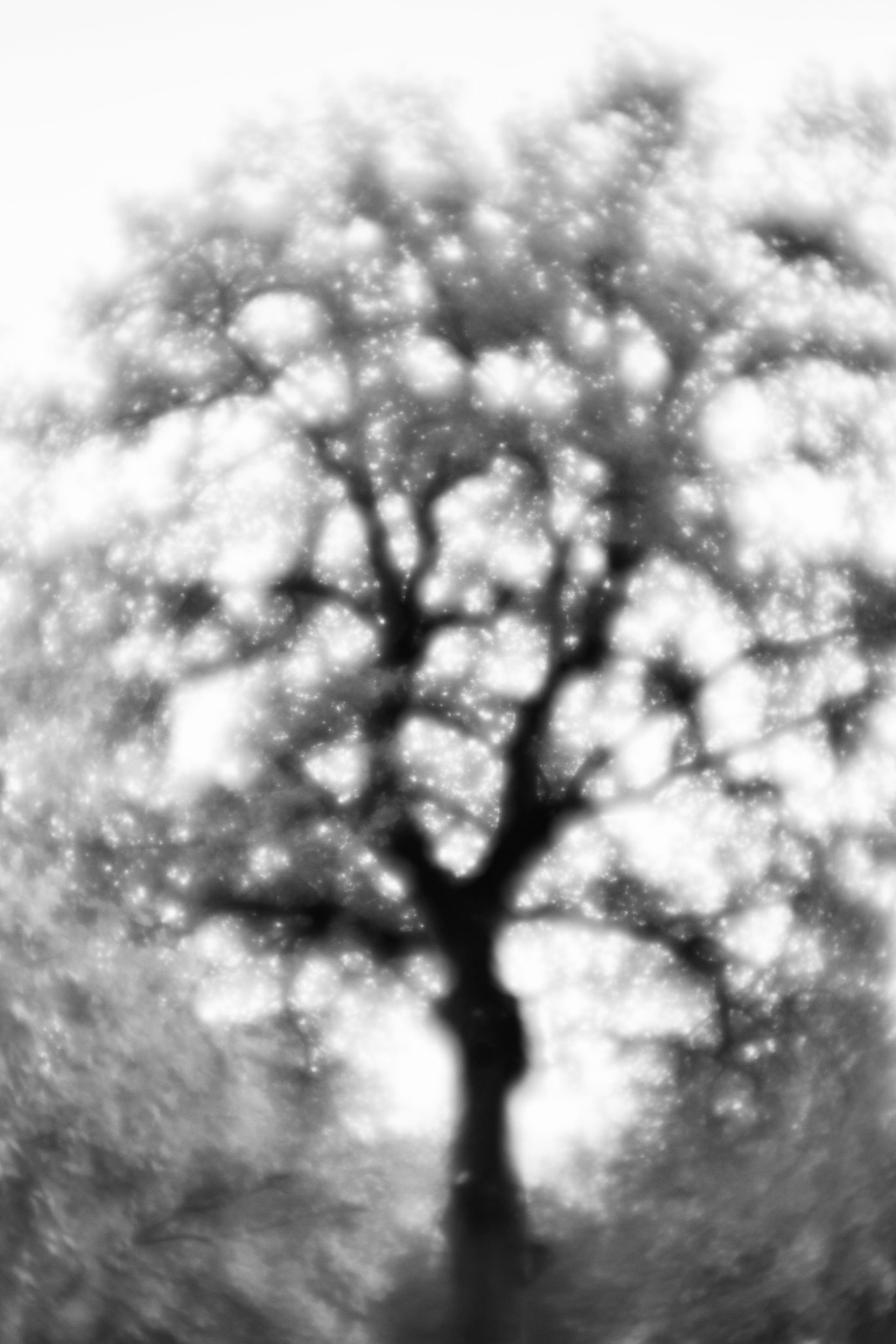 ПЕЙЗАЖИ. Профессиональный фотограф в Москве  Елена Фатьянова