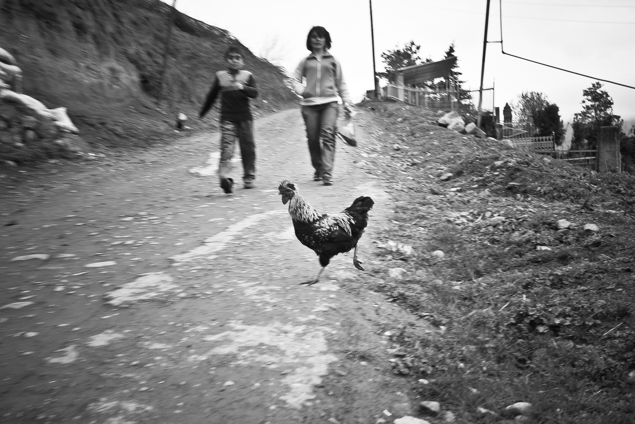 Армения. Двадцать лет спустя. Репортажный фотограф во Всеволожске и Санкт-Петербурге Владимир Капустин
