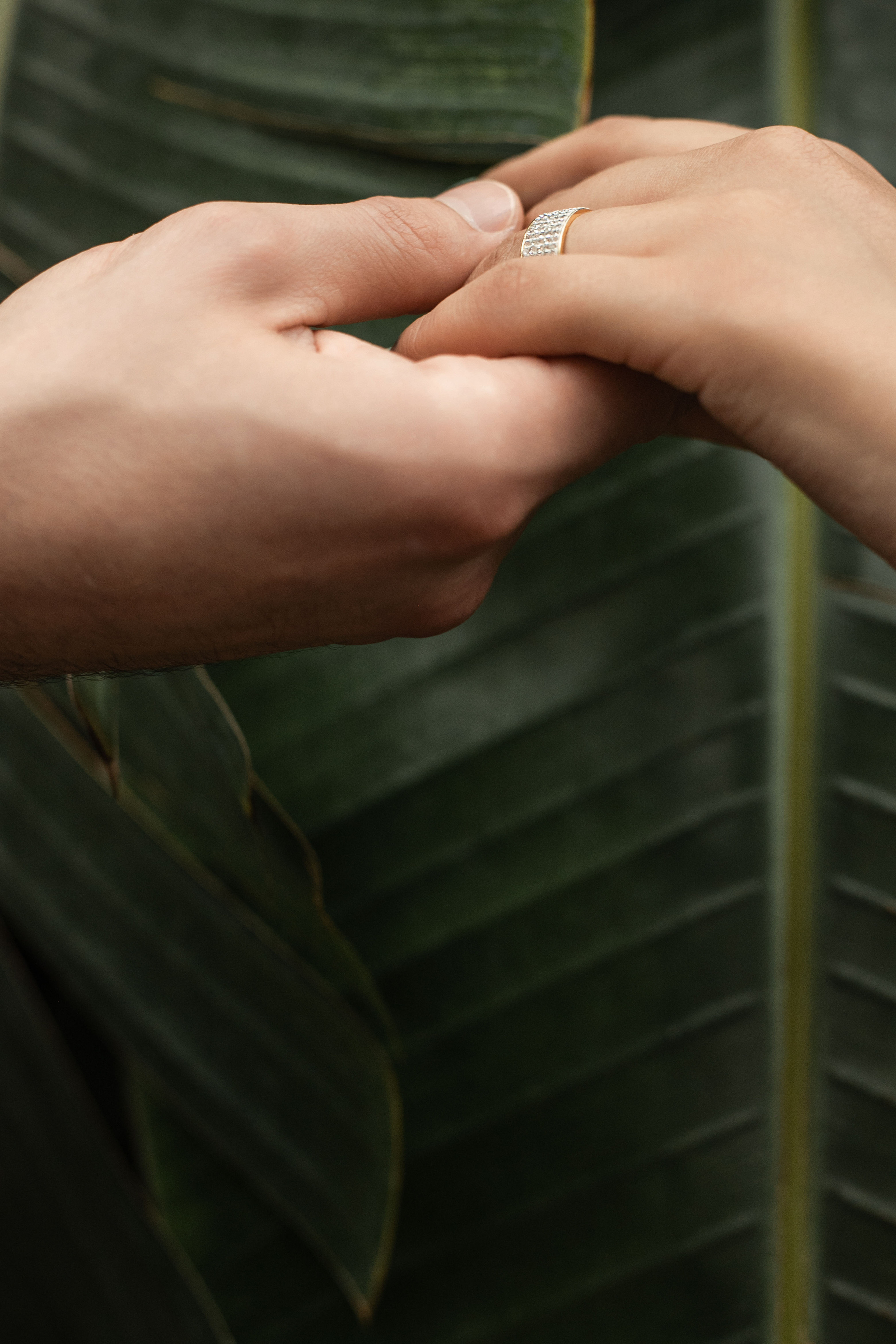 свадьба, свадебная фотосессия, оранжерея, свадебный