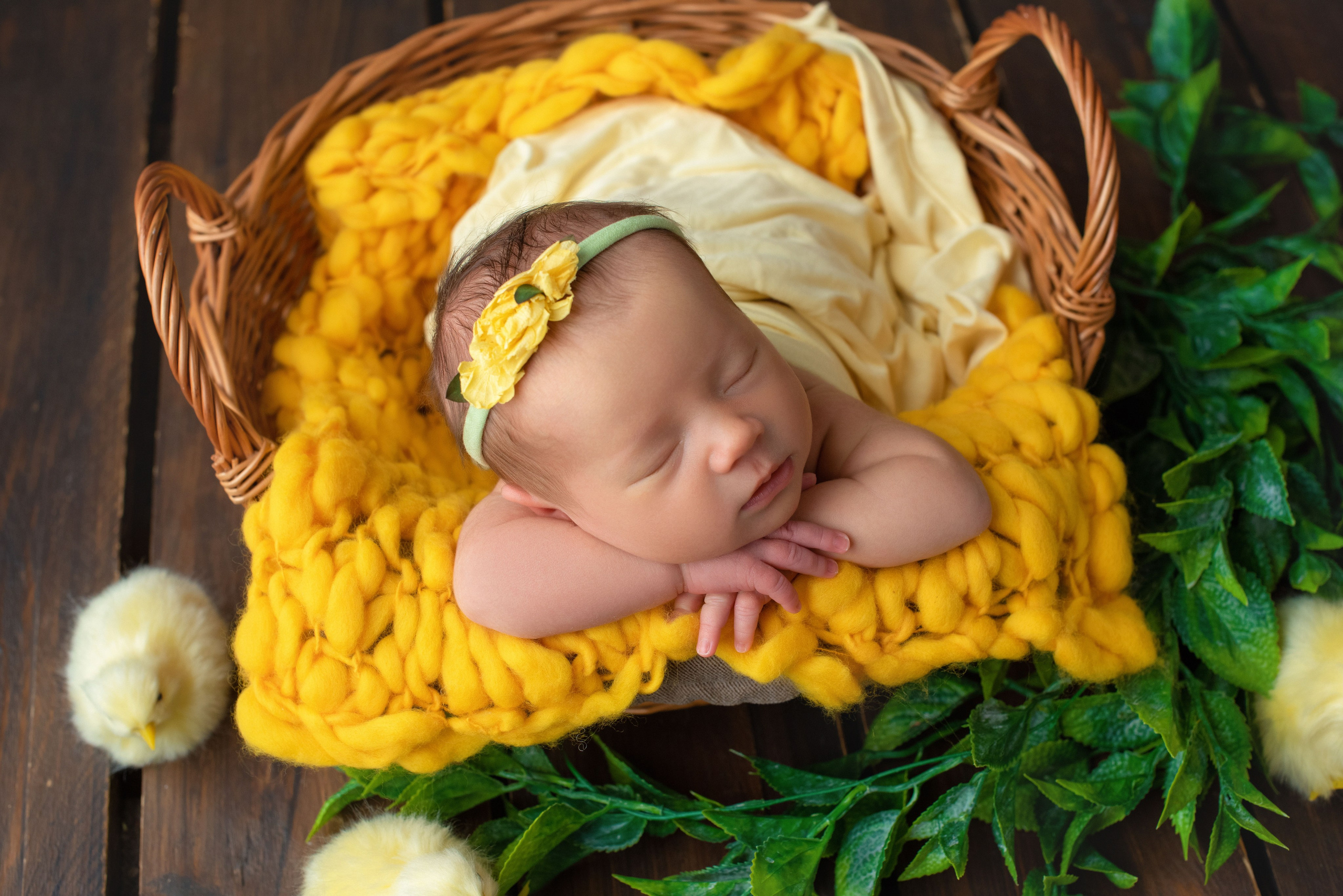 Новорожденные. Фотограф Новорожденных во Владивостоке Ольга Галаницкая