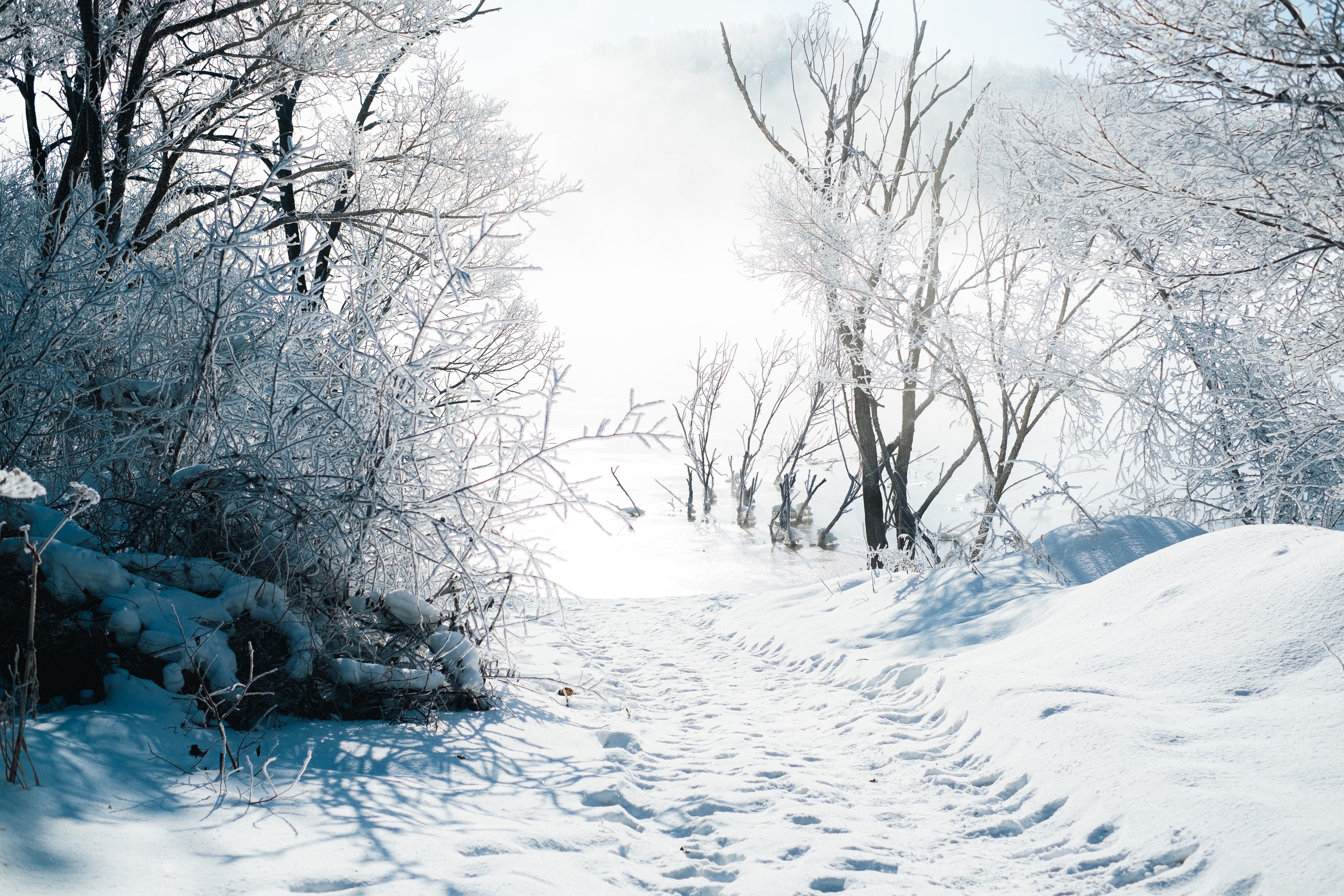 Курактачи. Фотограф Благовещенска Яна